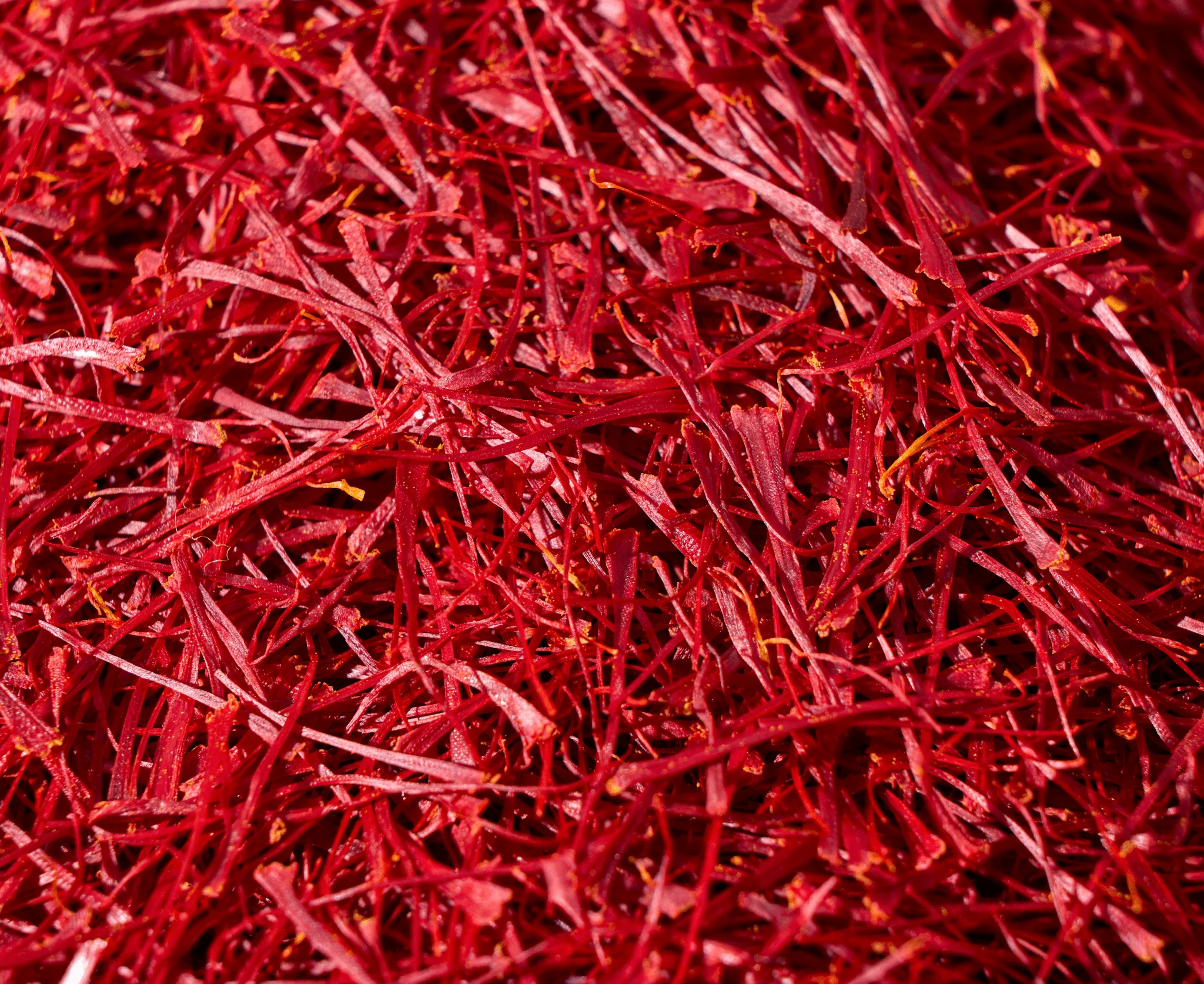 2 Grams (0.07 Oz) Heray Afghan Saffron Extra Class Premium Super Negin Quality - Image 5