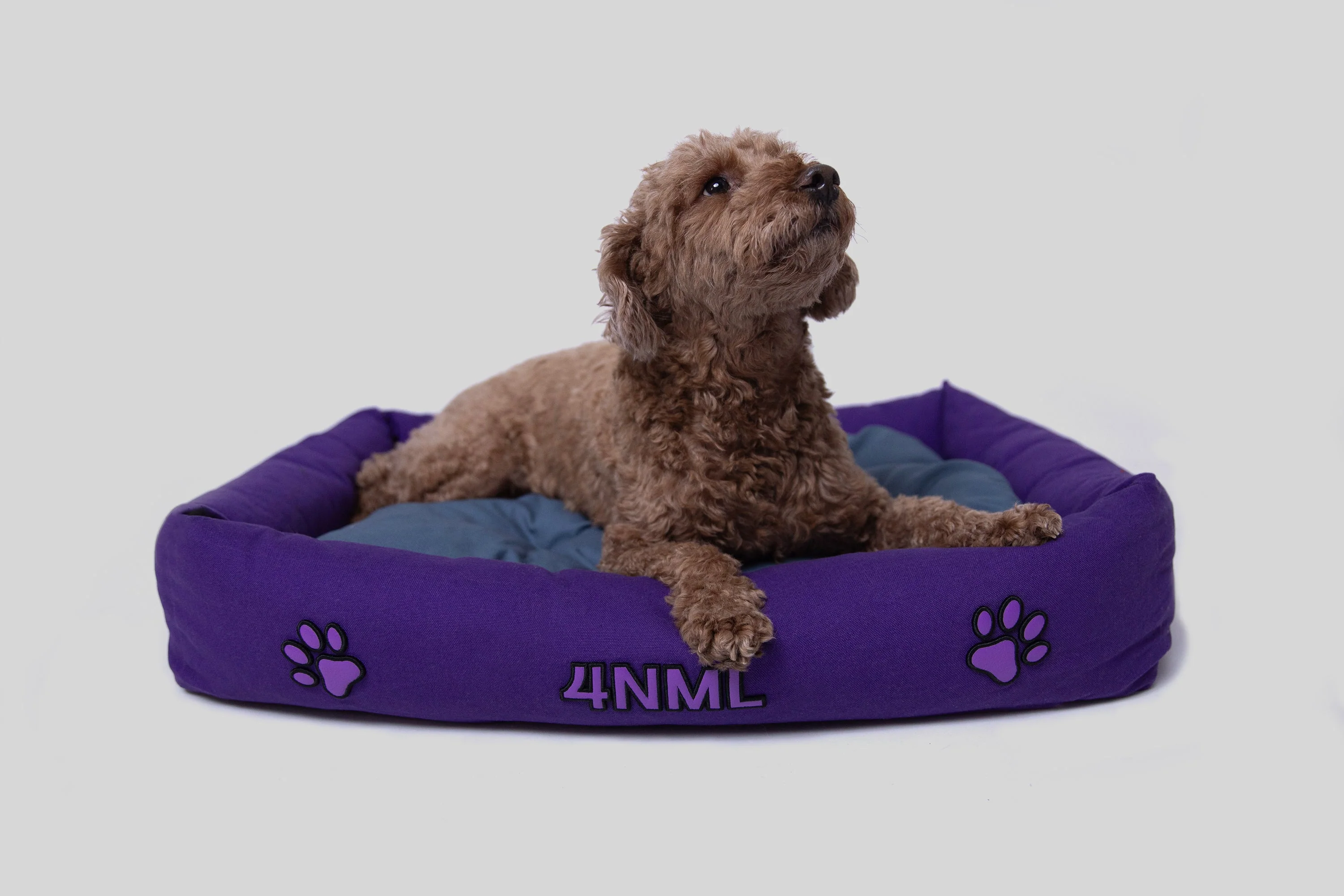 2nd Nature Pet Bed - Image 4
