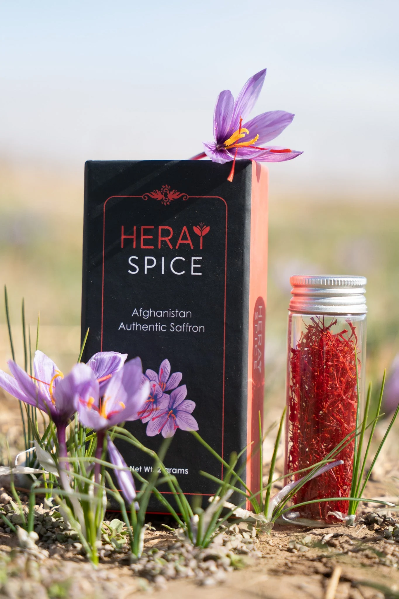 4 Grams (0.14 Oz) Heray Afghan Saffron Extra Class Premium Super Negin Quality - Image 13