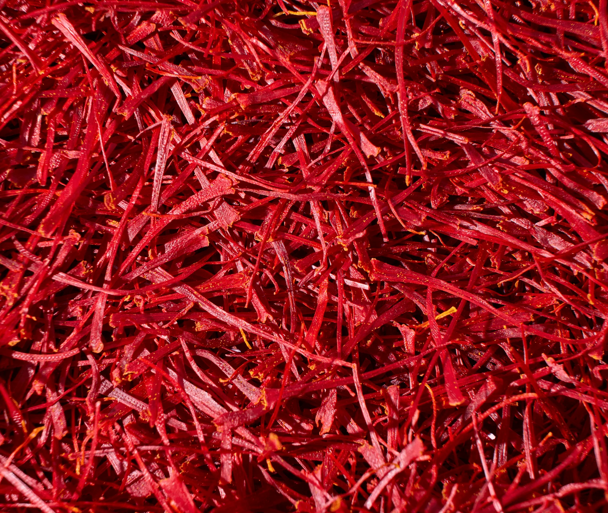 4 Grams (0.14 Oz) Heray Afghan Saffron Extra Class Premium Super Negin Quality - Image 3