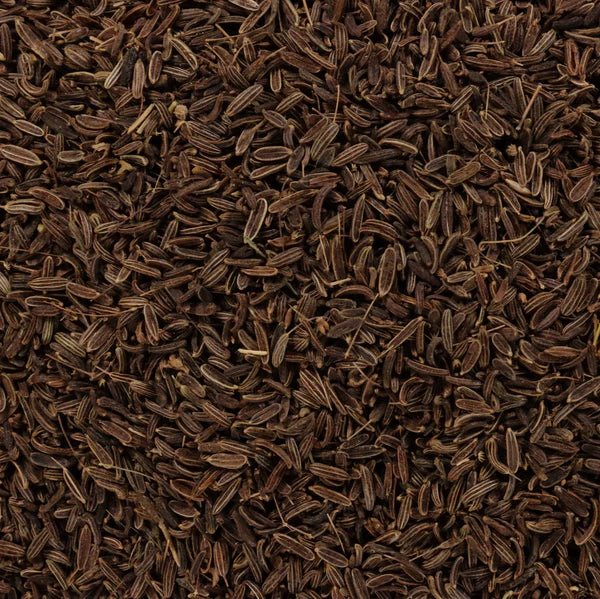 Afghanistan Wild Mountain Cumin - Image 2