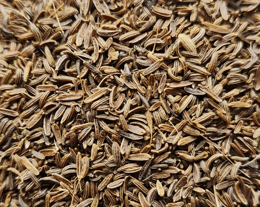 Afghanistan Wild Mountain Cumin - Image 3