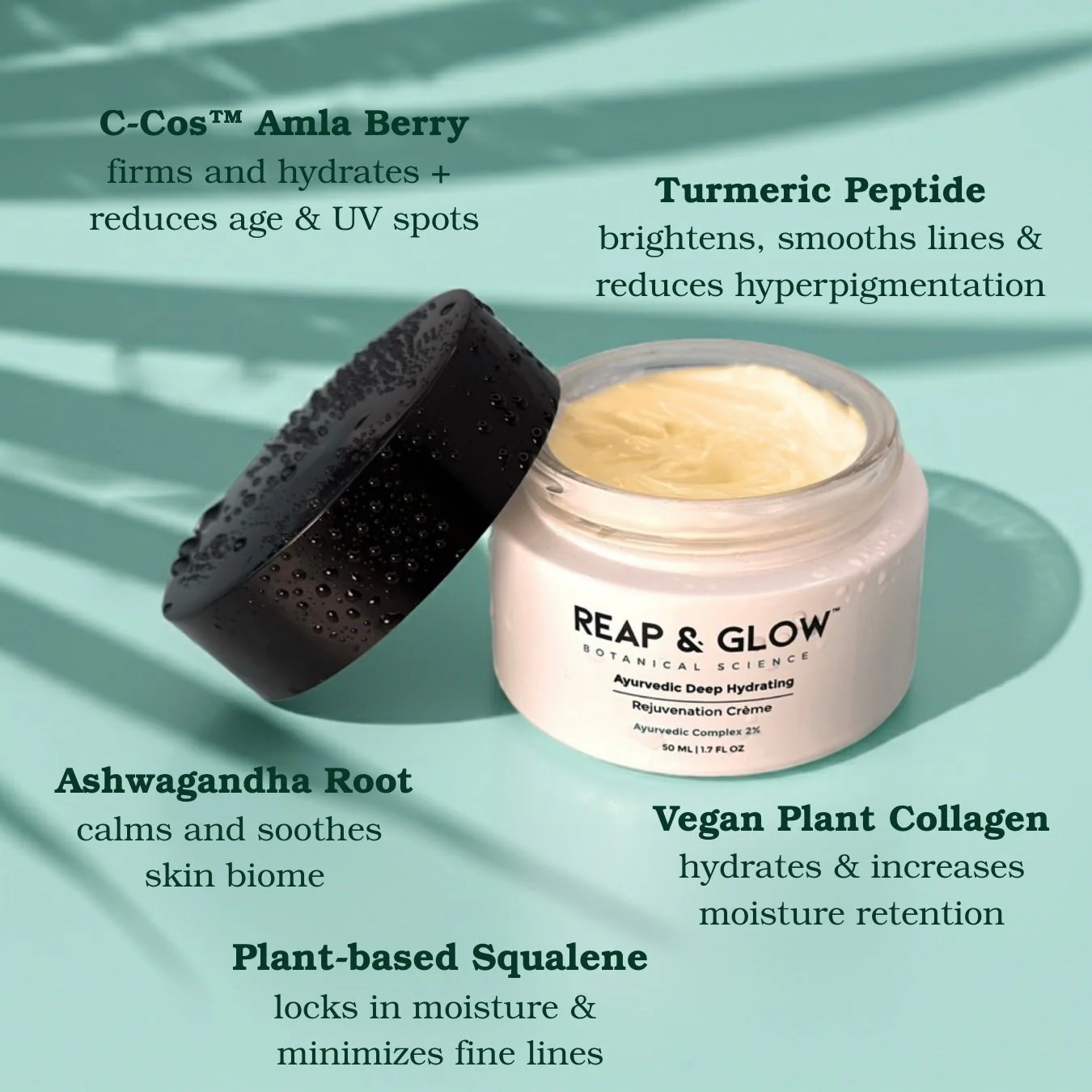 Ayurvedic Deep Hydrating Rejuvenation Crème  + Coffee Fruit Nourishing Cleanser - Image 3