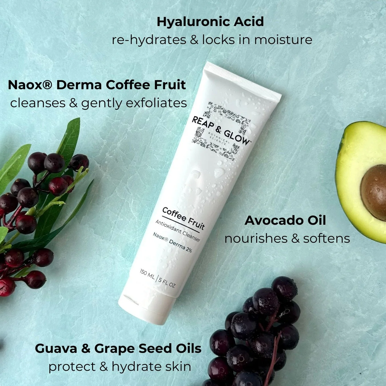 Ayurvedic Deep Hydrating Rejuvenation Crème  + Coffee Fruit Nourishing Cleanser - Image 4