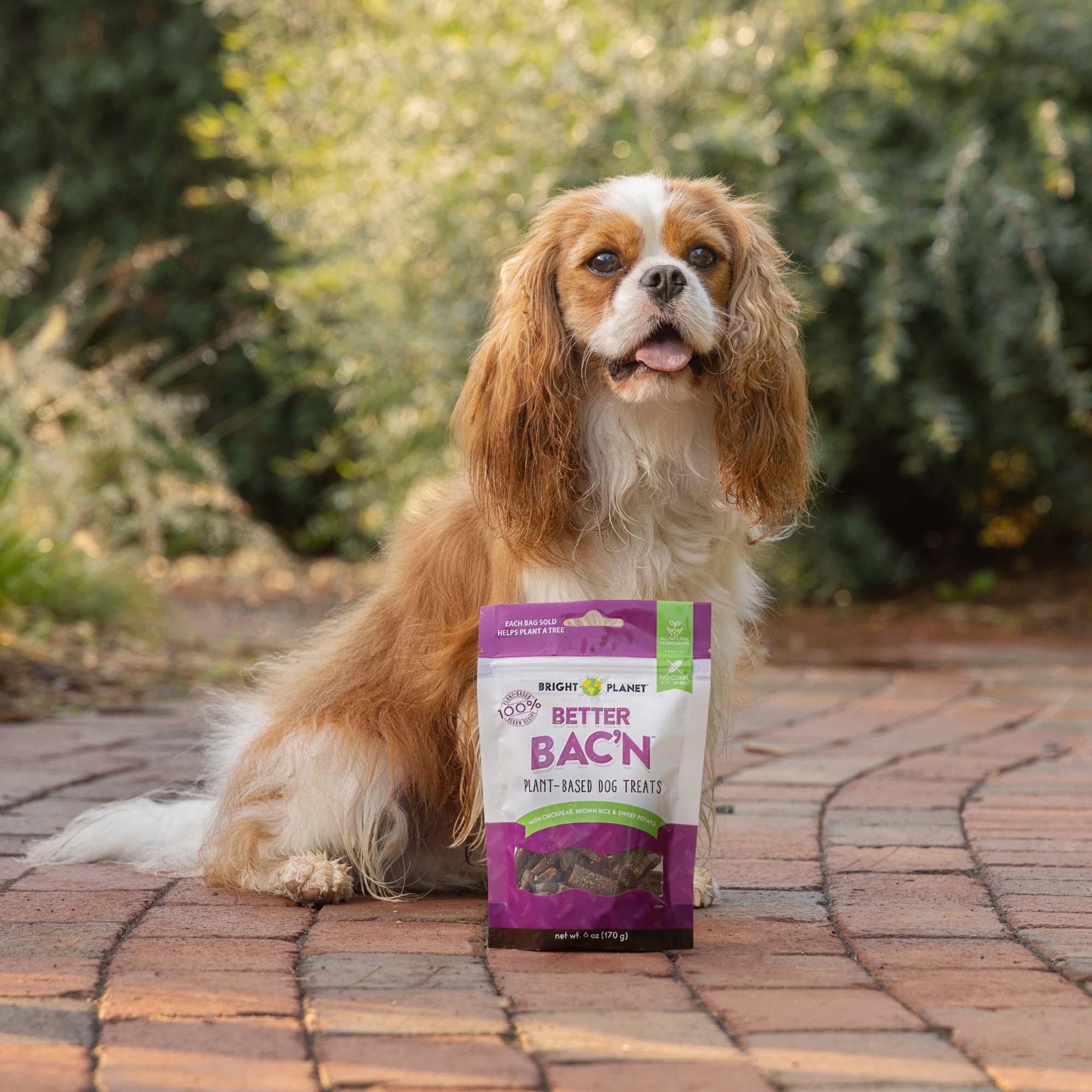 Better Bac'n Plant-Based Dog Treats - Image 4
