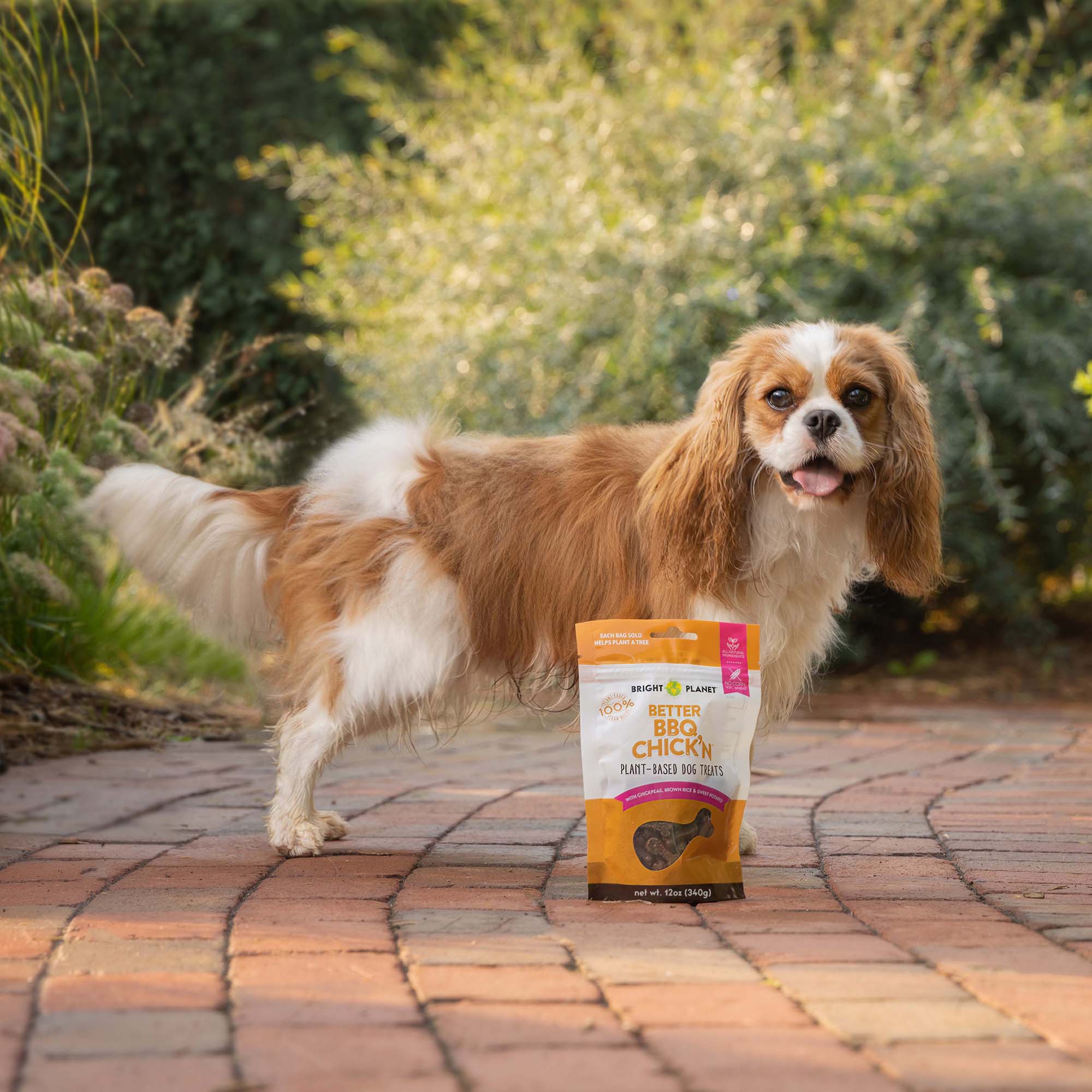 Better BBQ Chick'n Plant-Based Dog Treats - Image 7