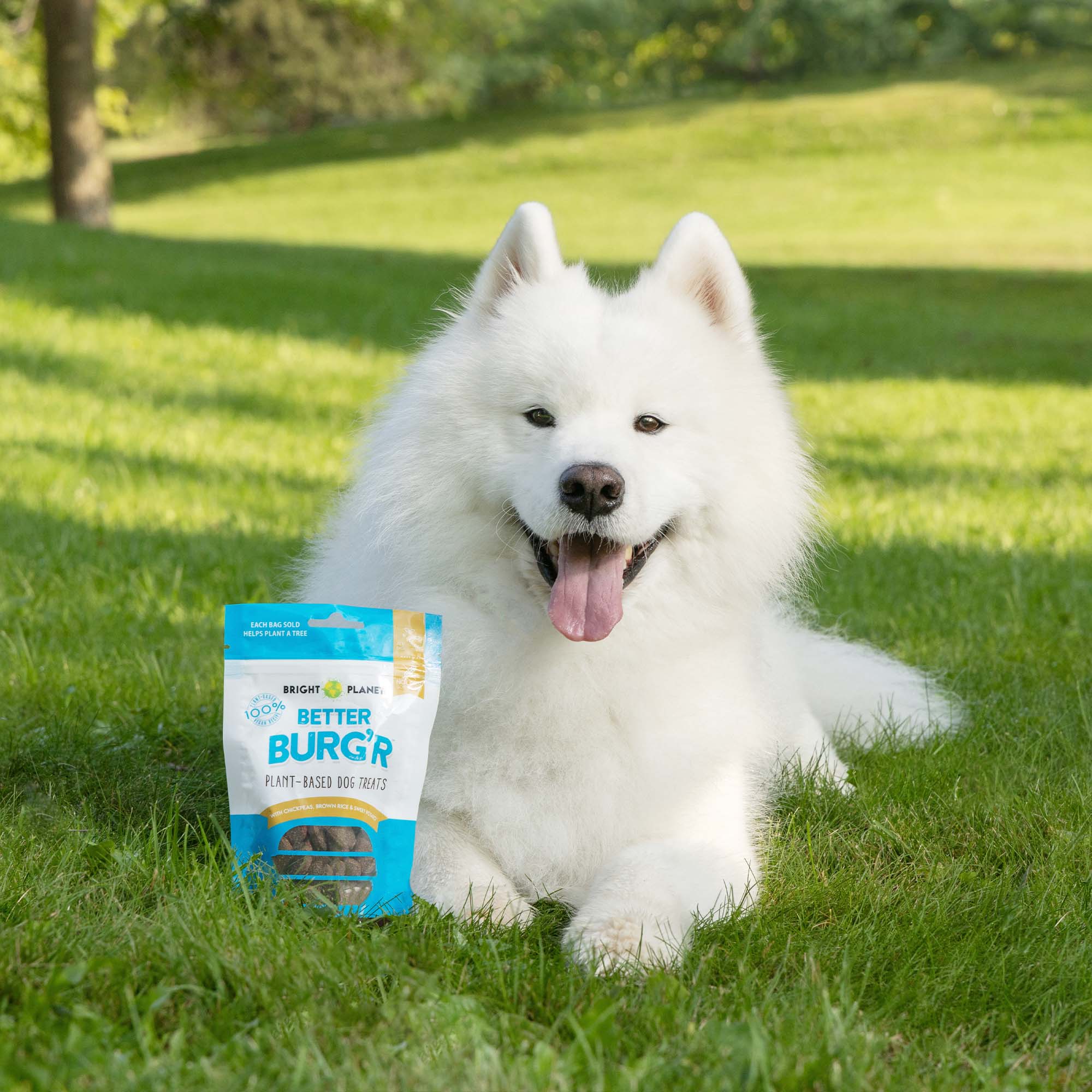 Better Burg'r Plant-Based Dog Treats - Image 6