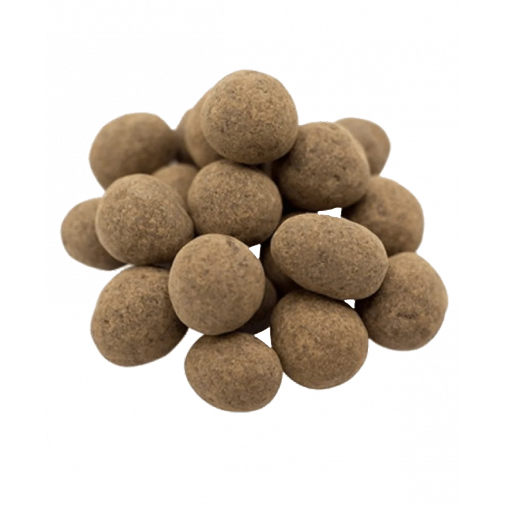 Chocolate Covered Sprouted Hazelnuts - Image 3