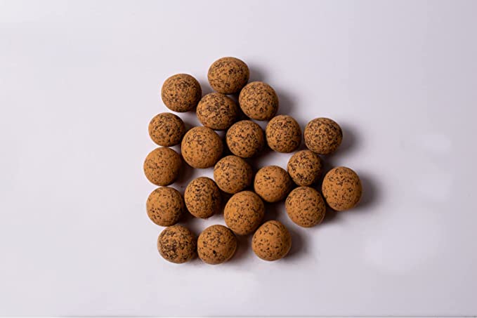 Chocolate Covered Sprouted Hazelnuts - Image 6