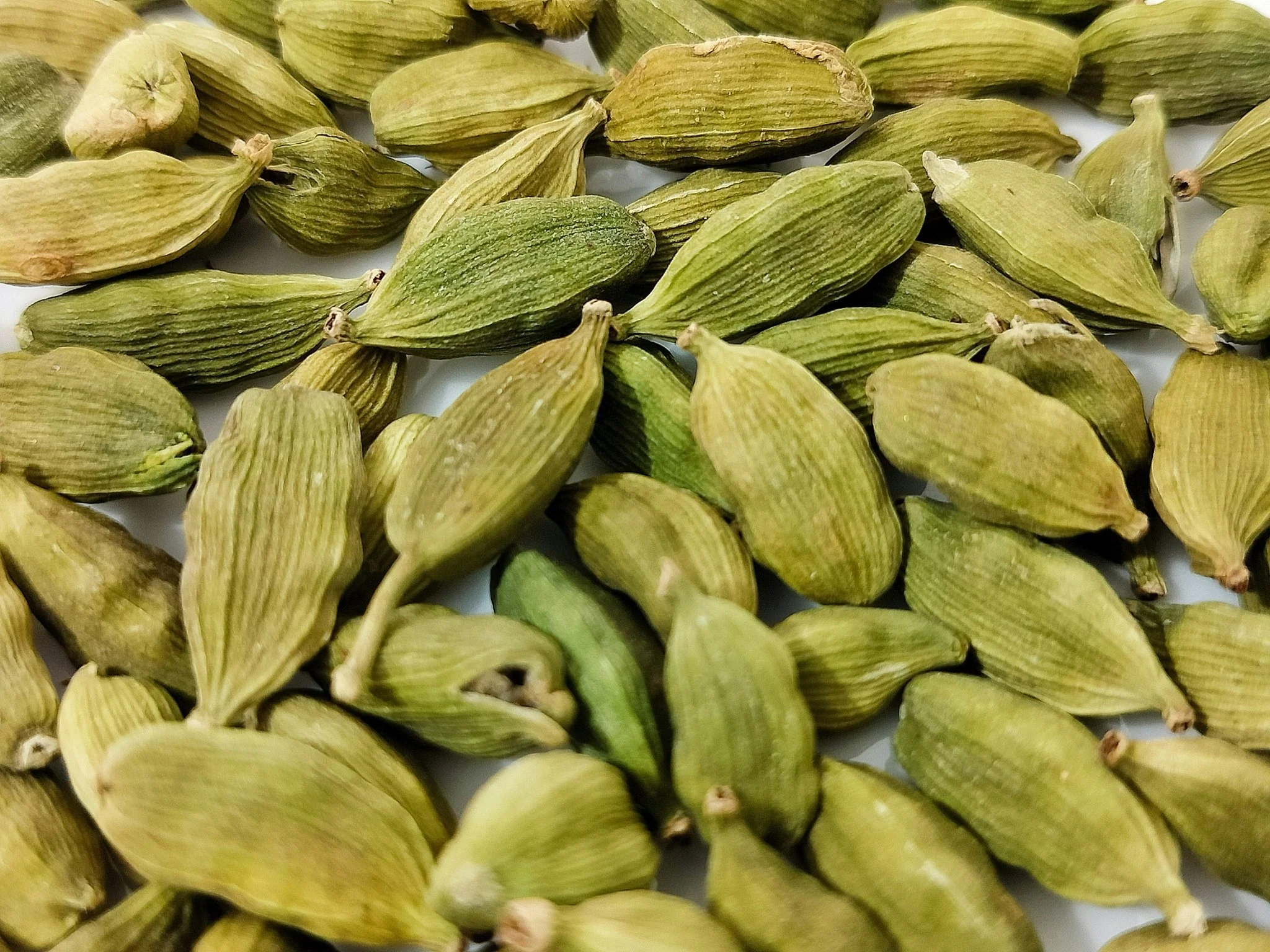 Cloud Forest Green Cardamom - Image 4