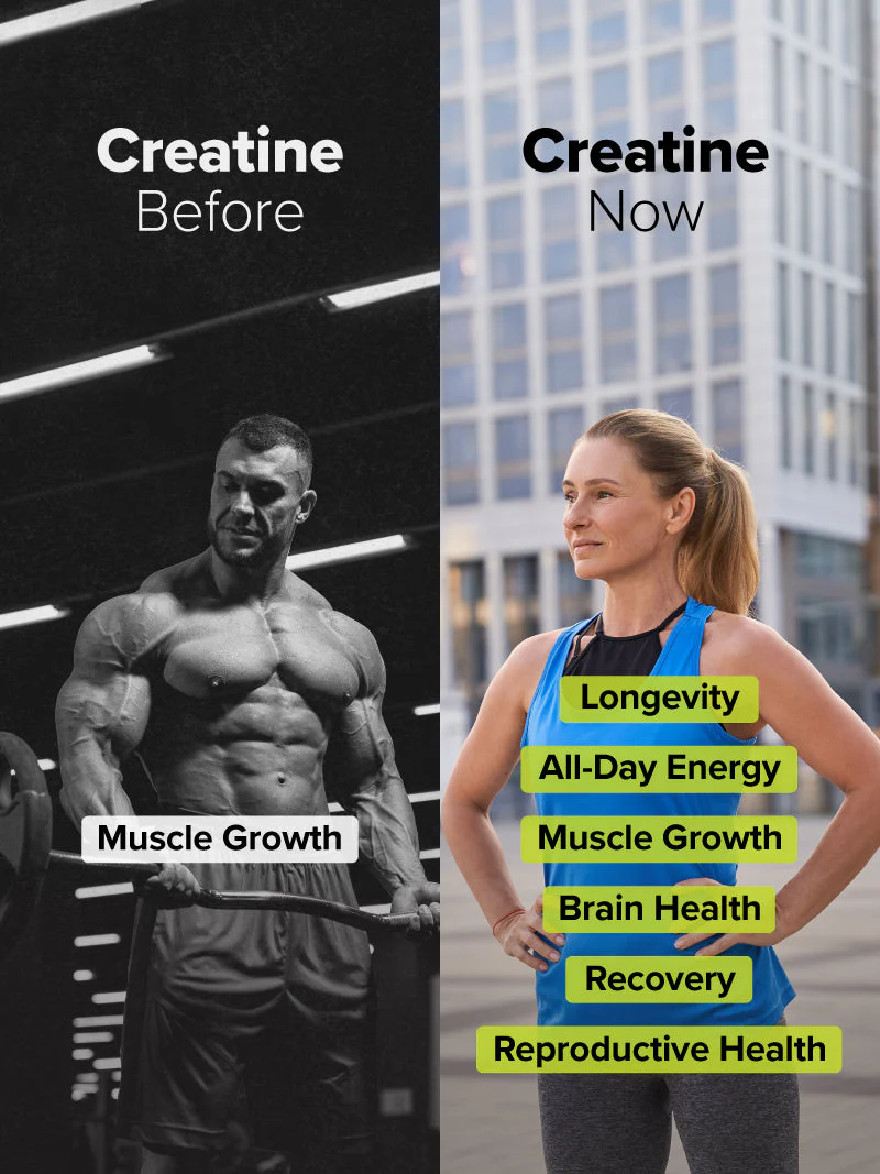 COMPLEMENT® Creatine - Image 5