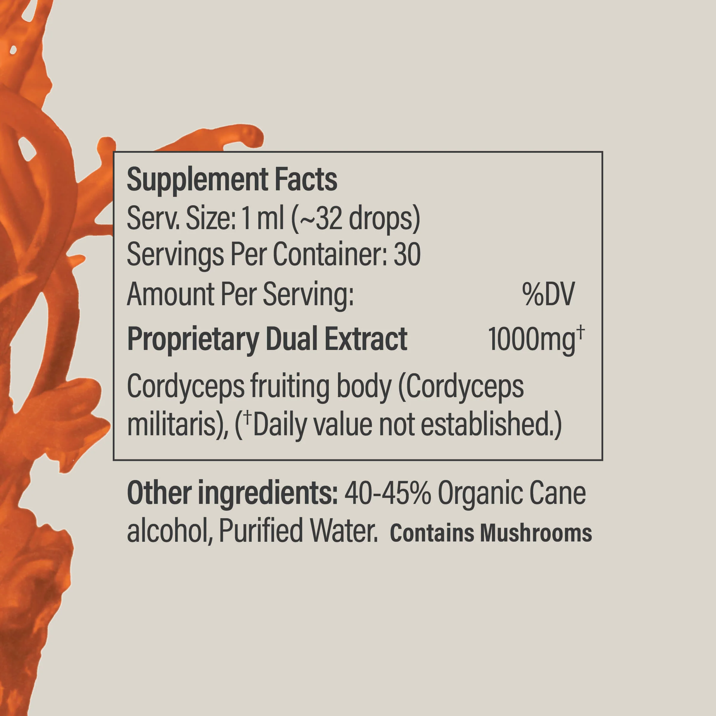 Cordyceps Tincture - Image 4