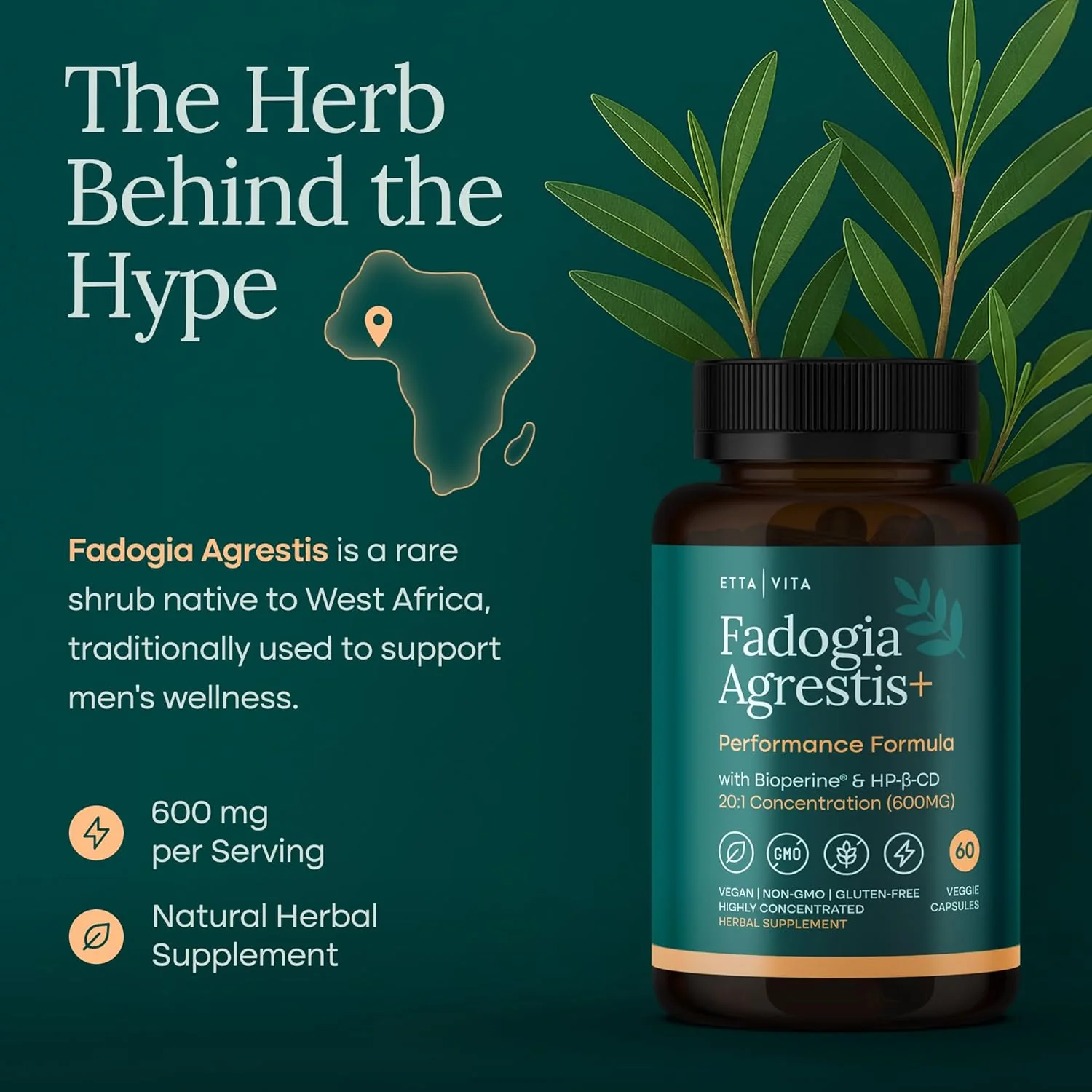 Organic Fadogia Agrestis 600mg for Natural Test Support - Image 2
