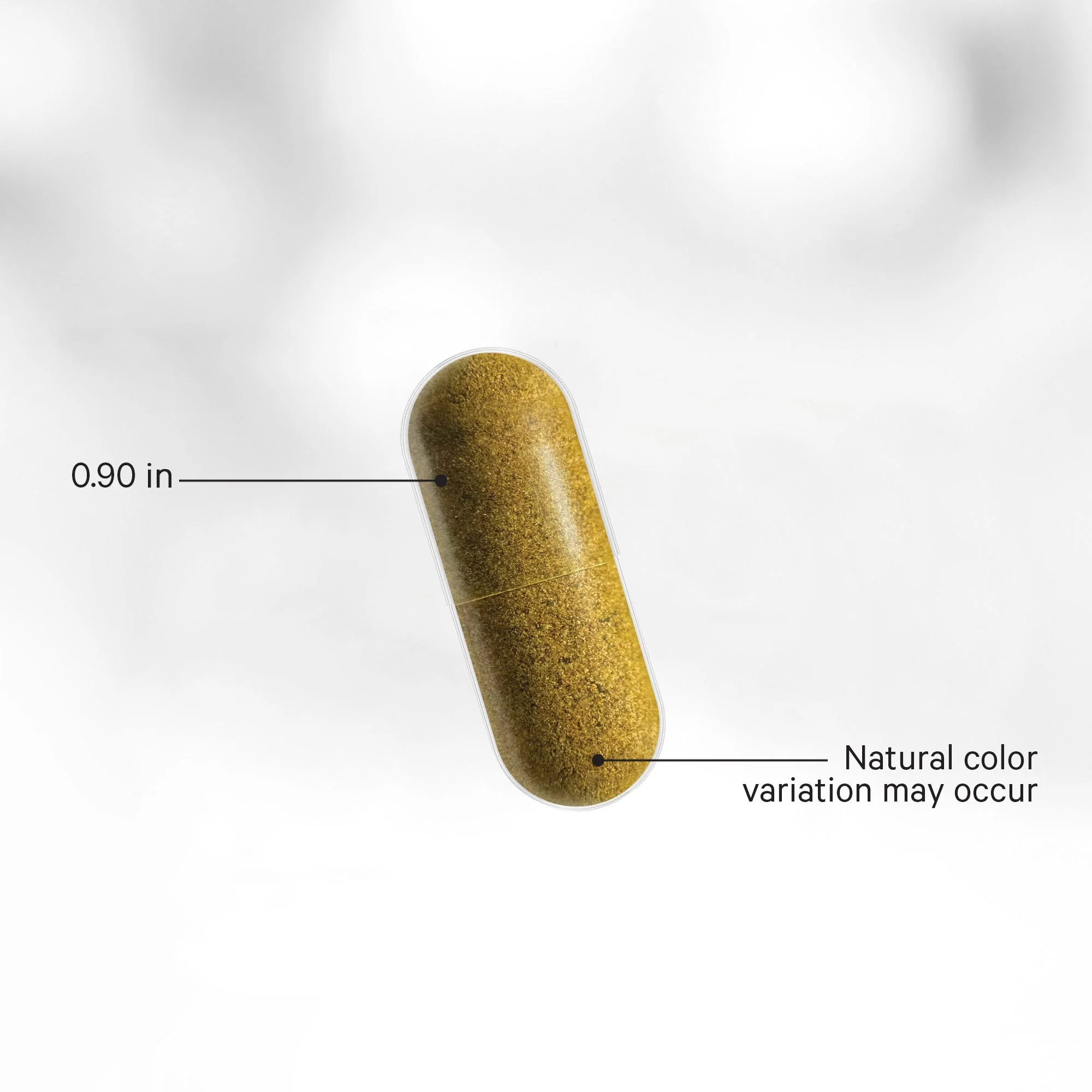 Forskolin Turmeric - Image 4