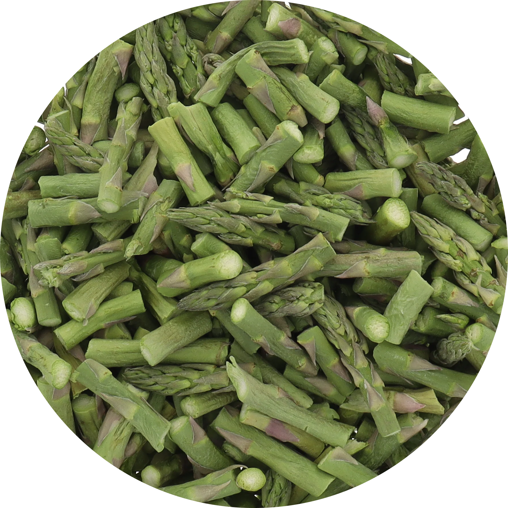 Freeze Dried Asparagus - Image 7
