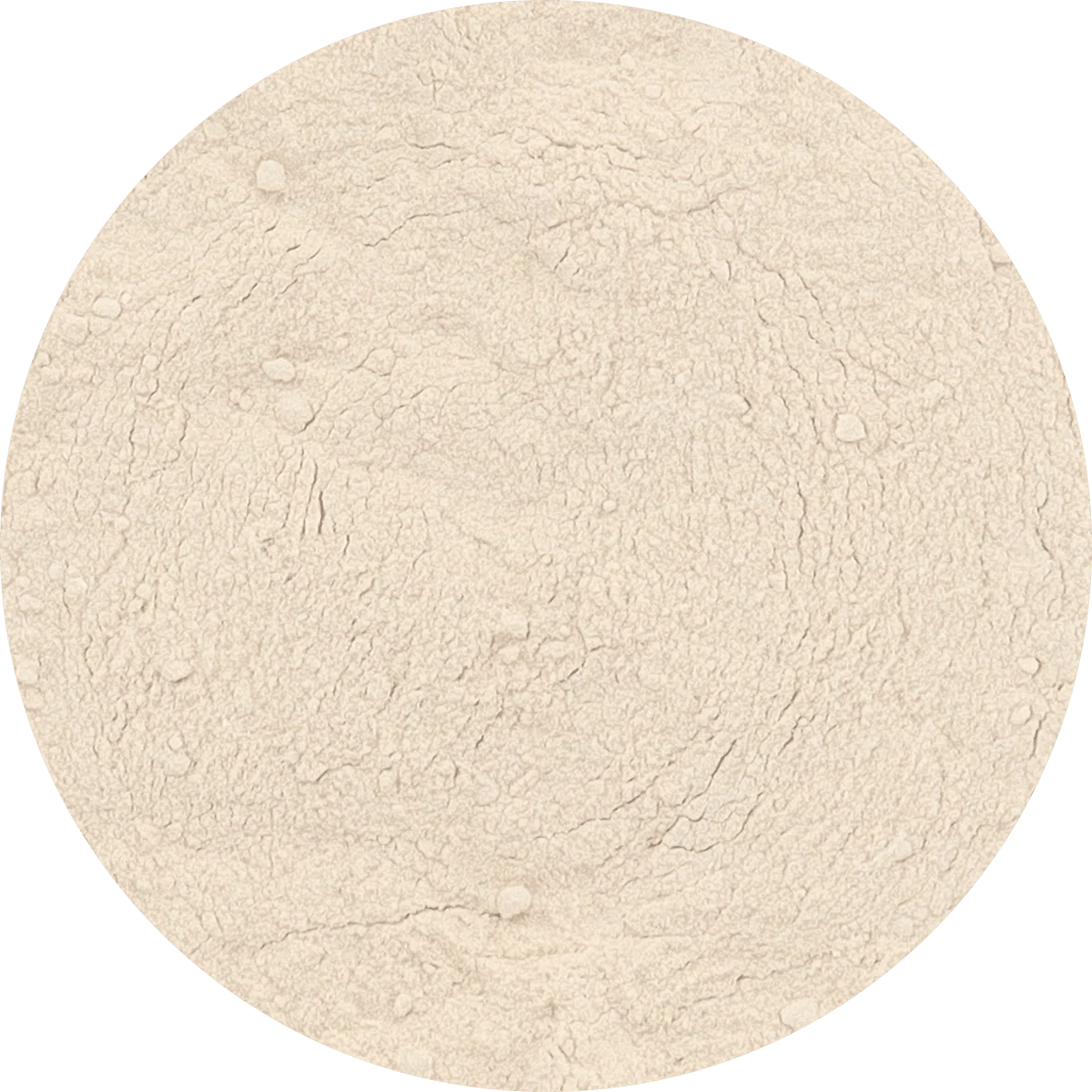 Freeze Dried Banana Powder - Image 2
