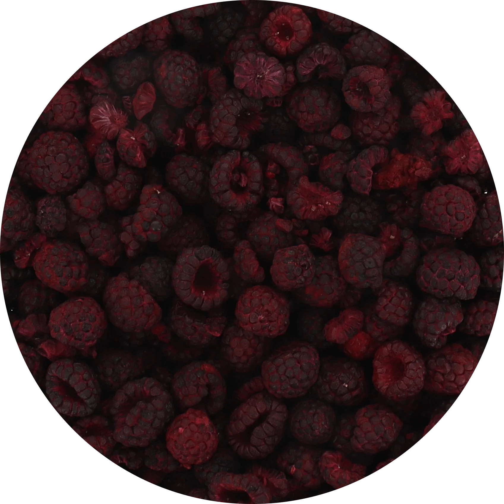 Freeze Dried Black Raspberry - Image 5