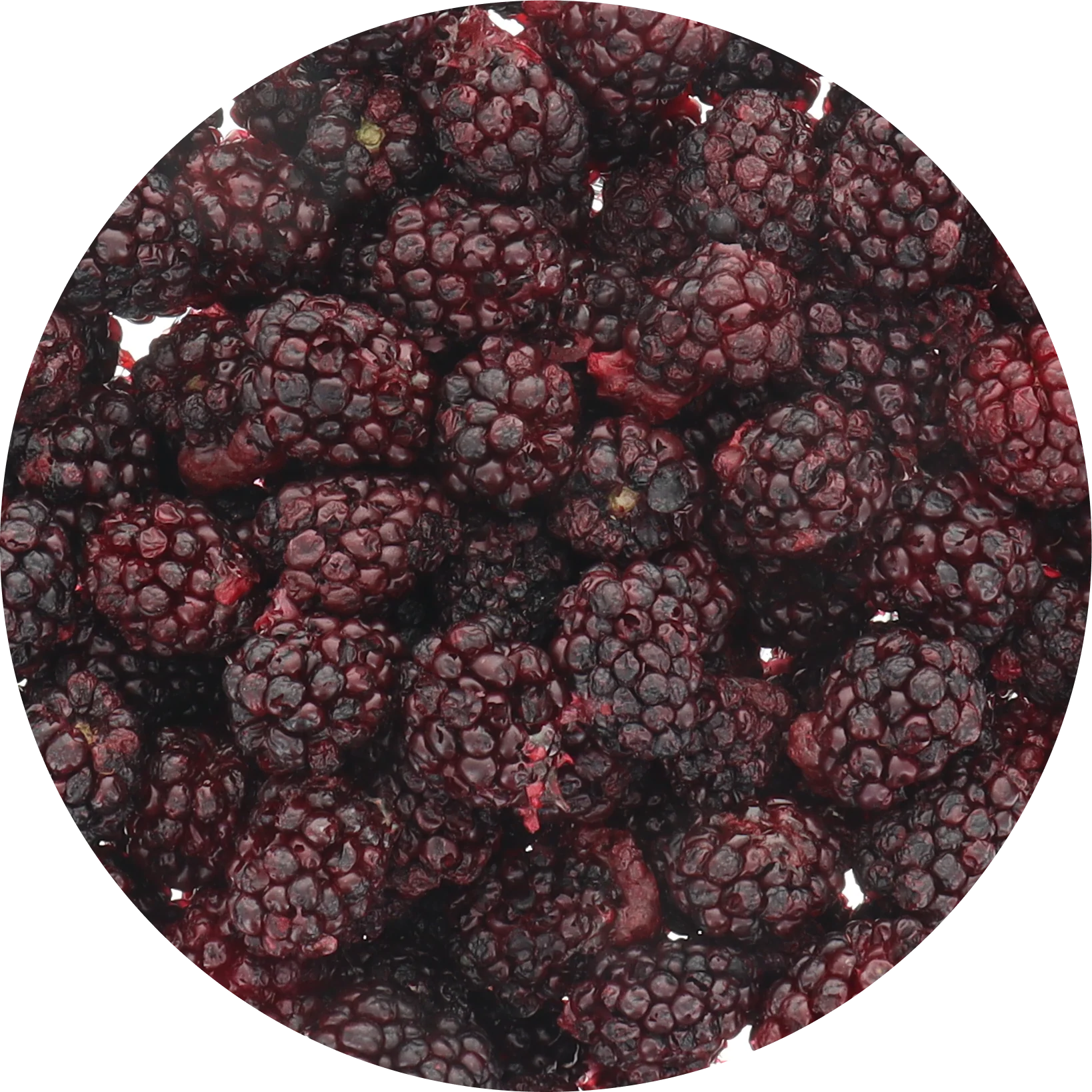 Freeze Dried Blackberry - Image 6