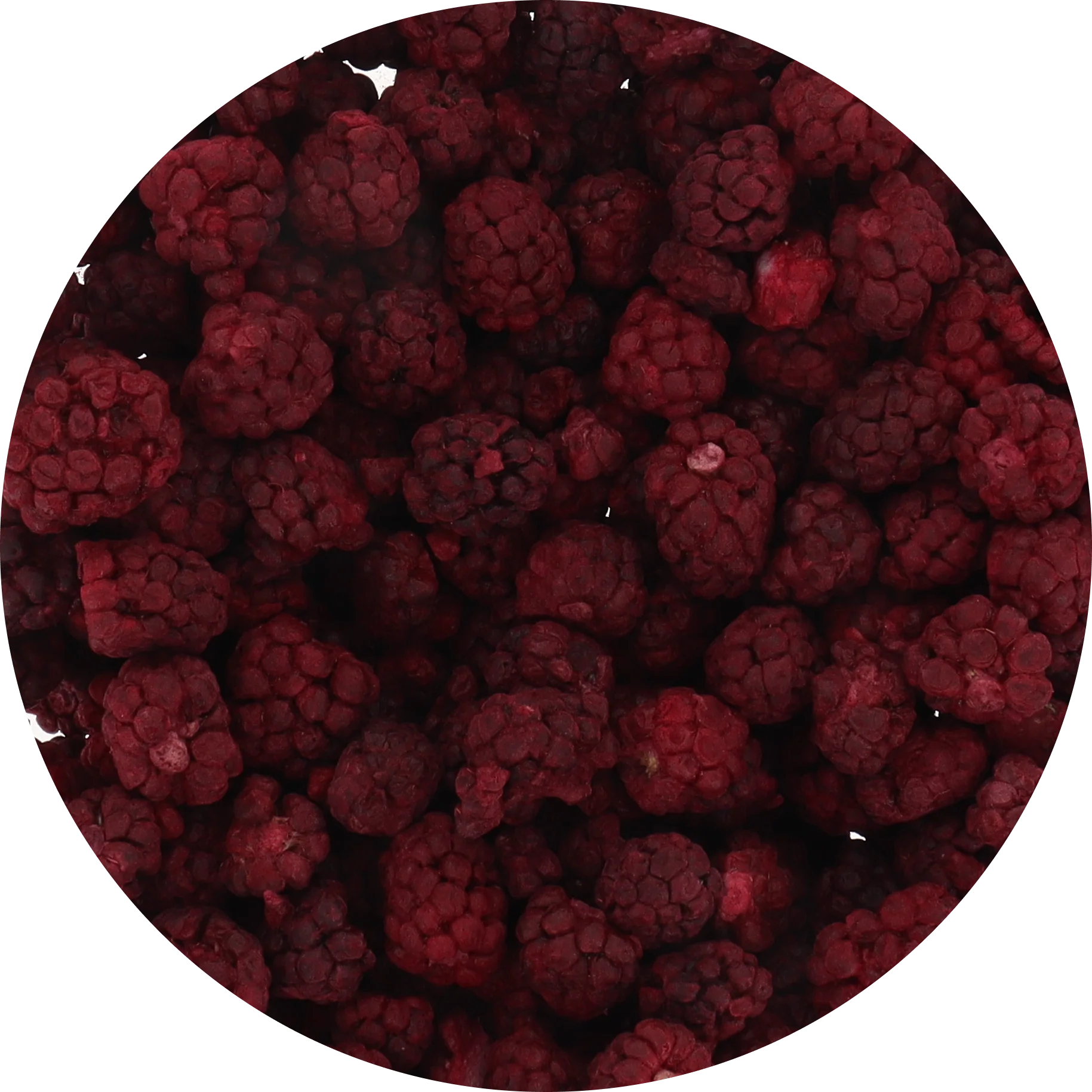 Freeze Dried Boysenberry - Image 6