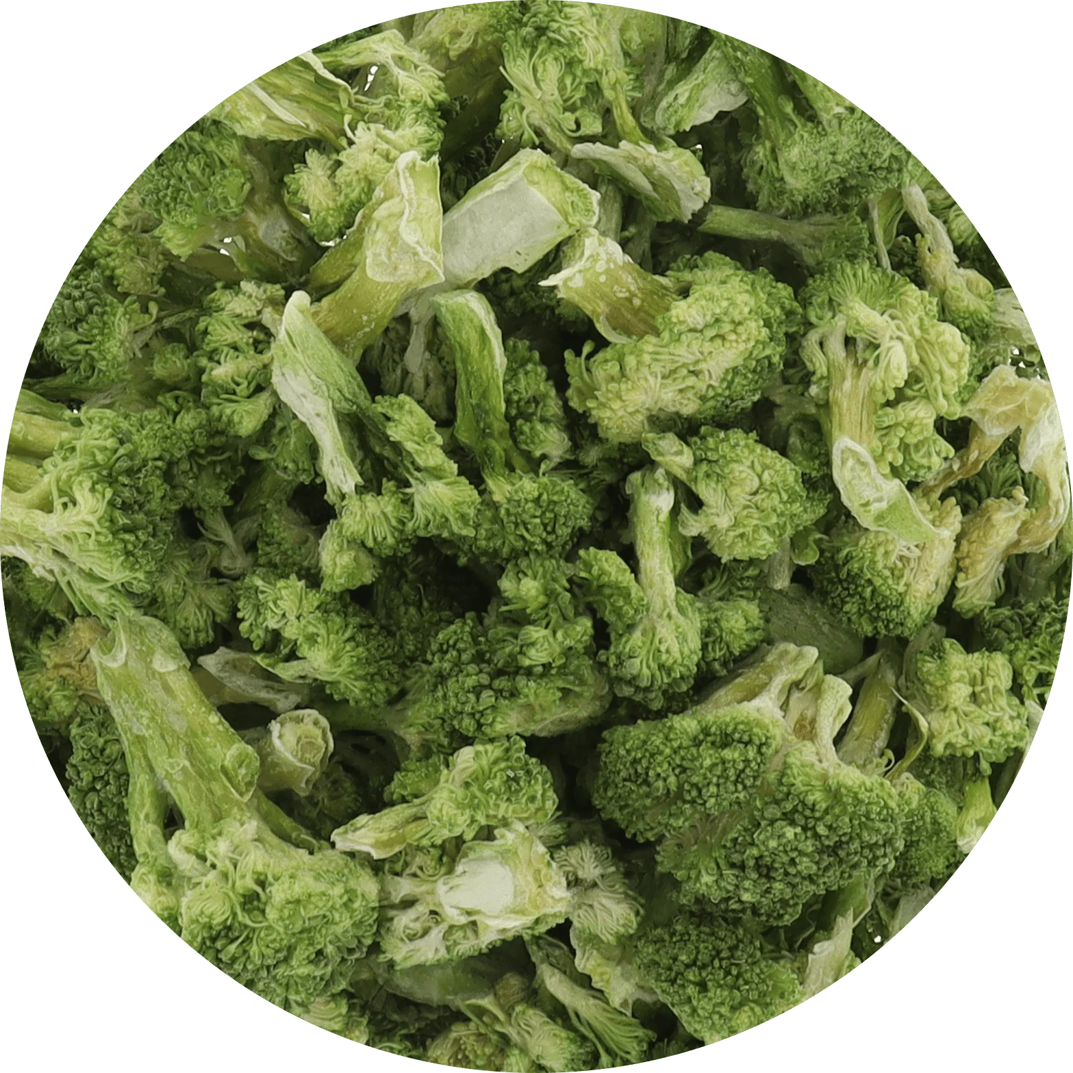 Freeze Dried Broccoli - Image 3