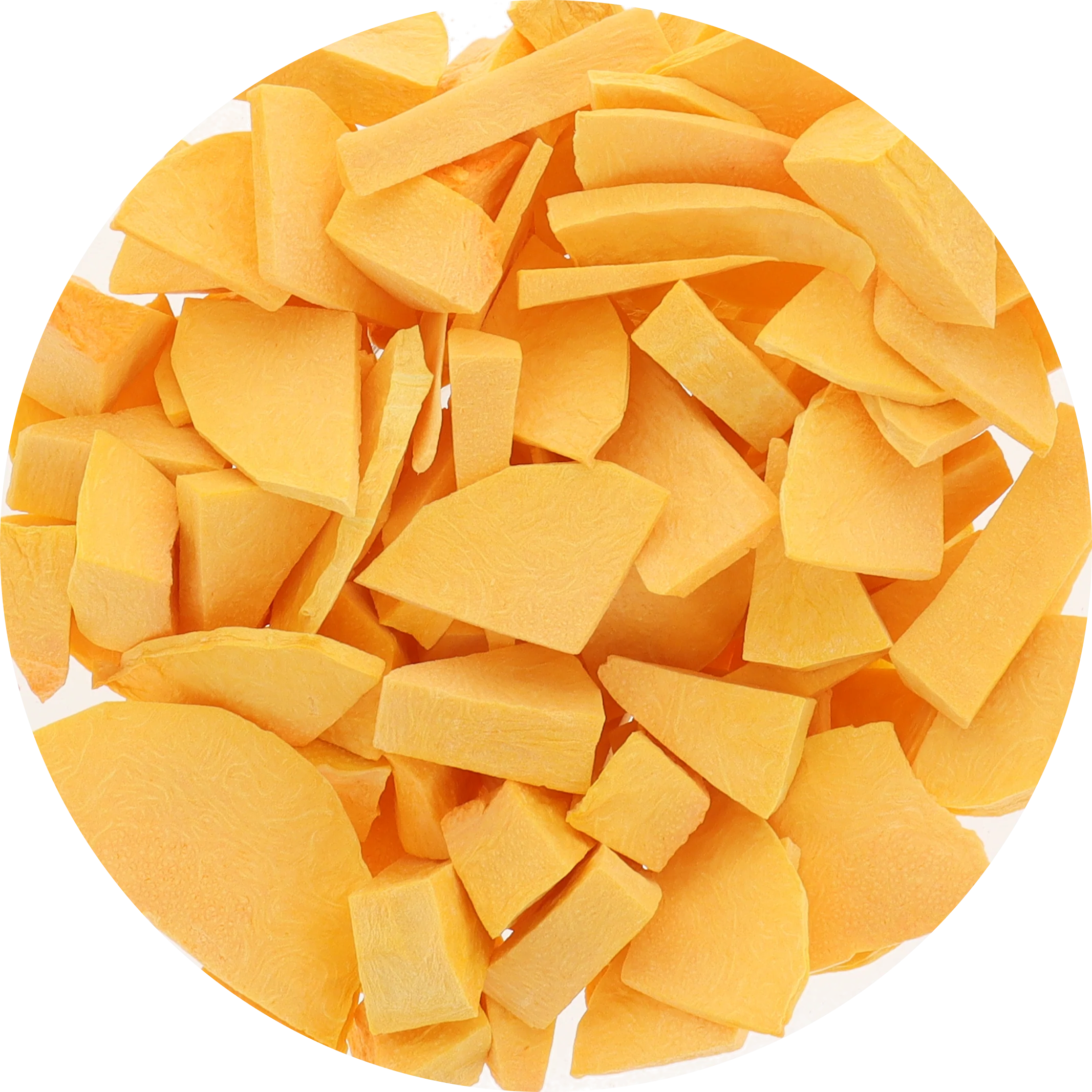 Freeze Dried Butternut Squash - Image 3