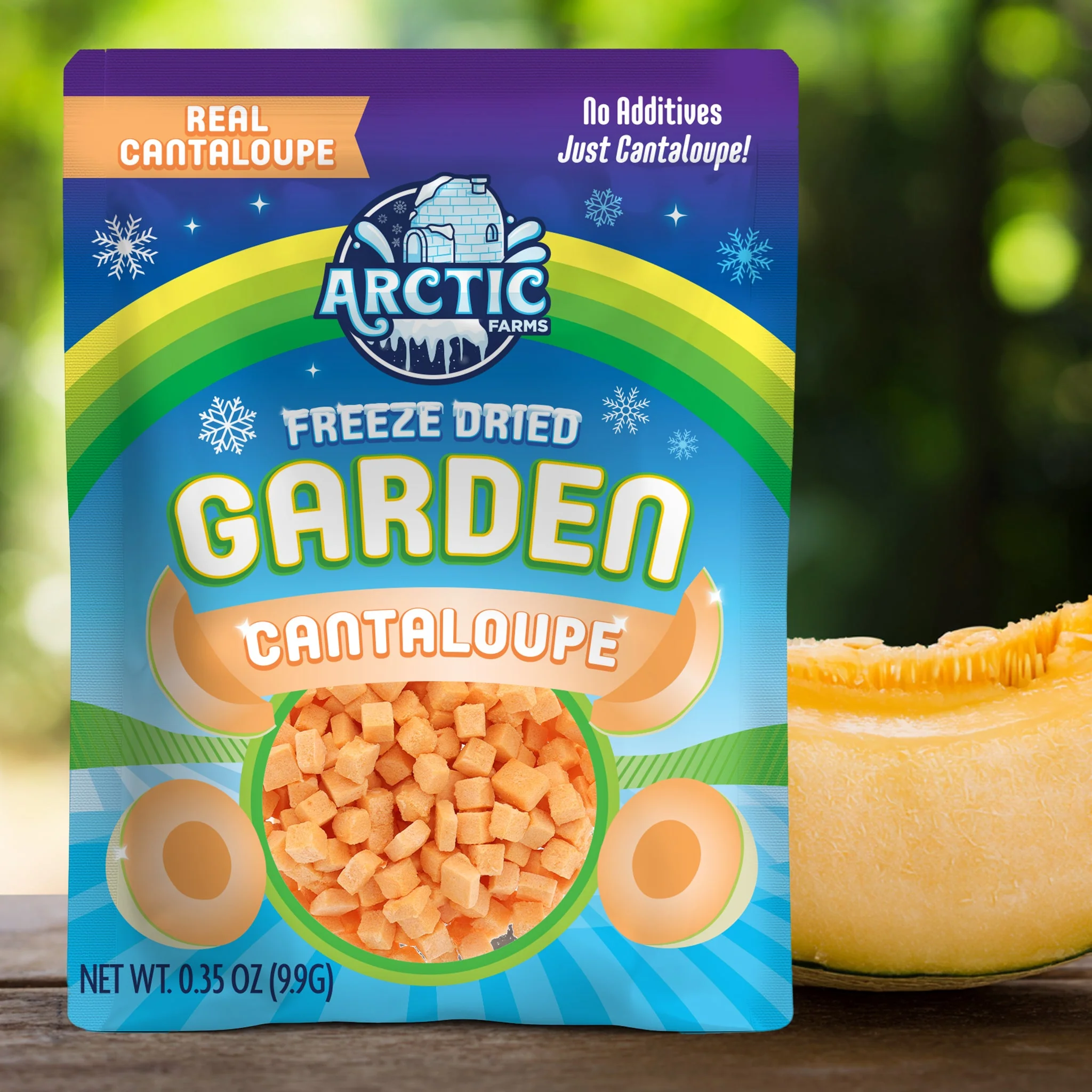 Freeze Dried Cantaloupe Melon - Image 2