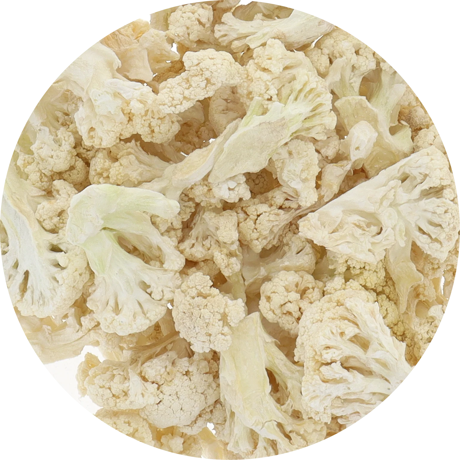 Freeze Dried Cauliflower - Image 5