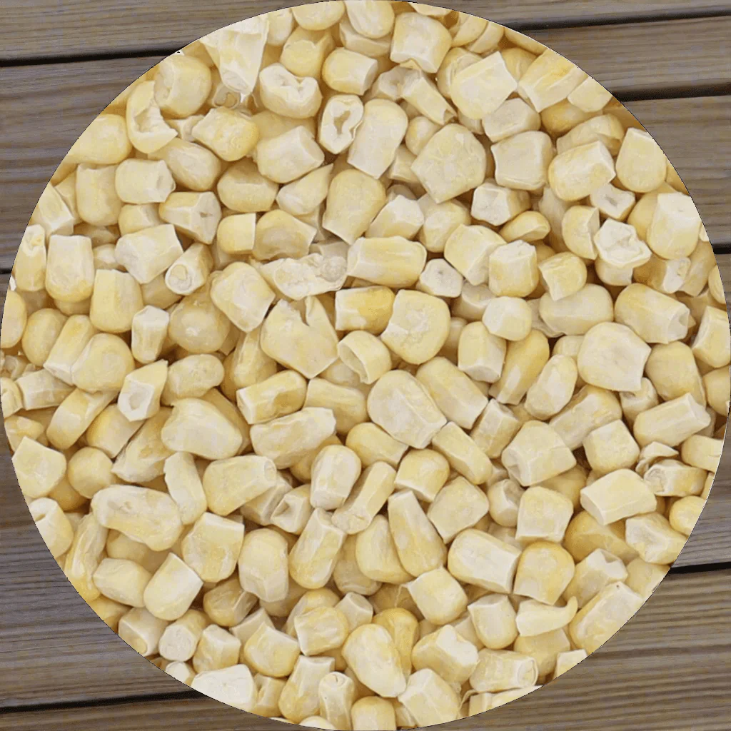Freeze Dried Corn - Fire Roasted - Image 7