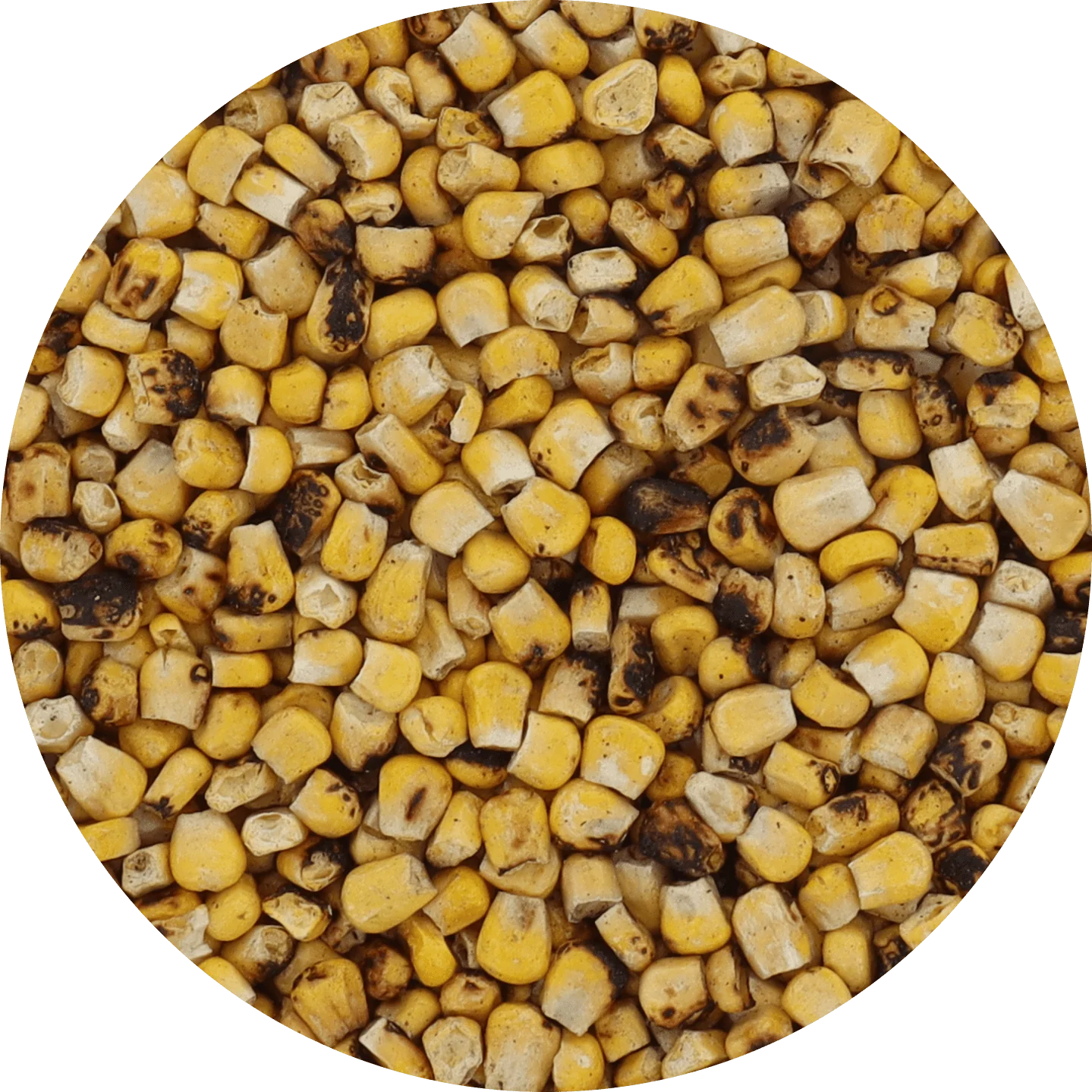 Freeze Dried Corn - Plain - Image 25