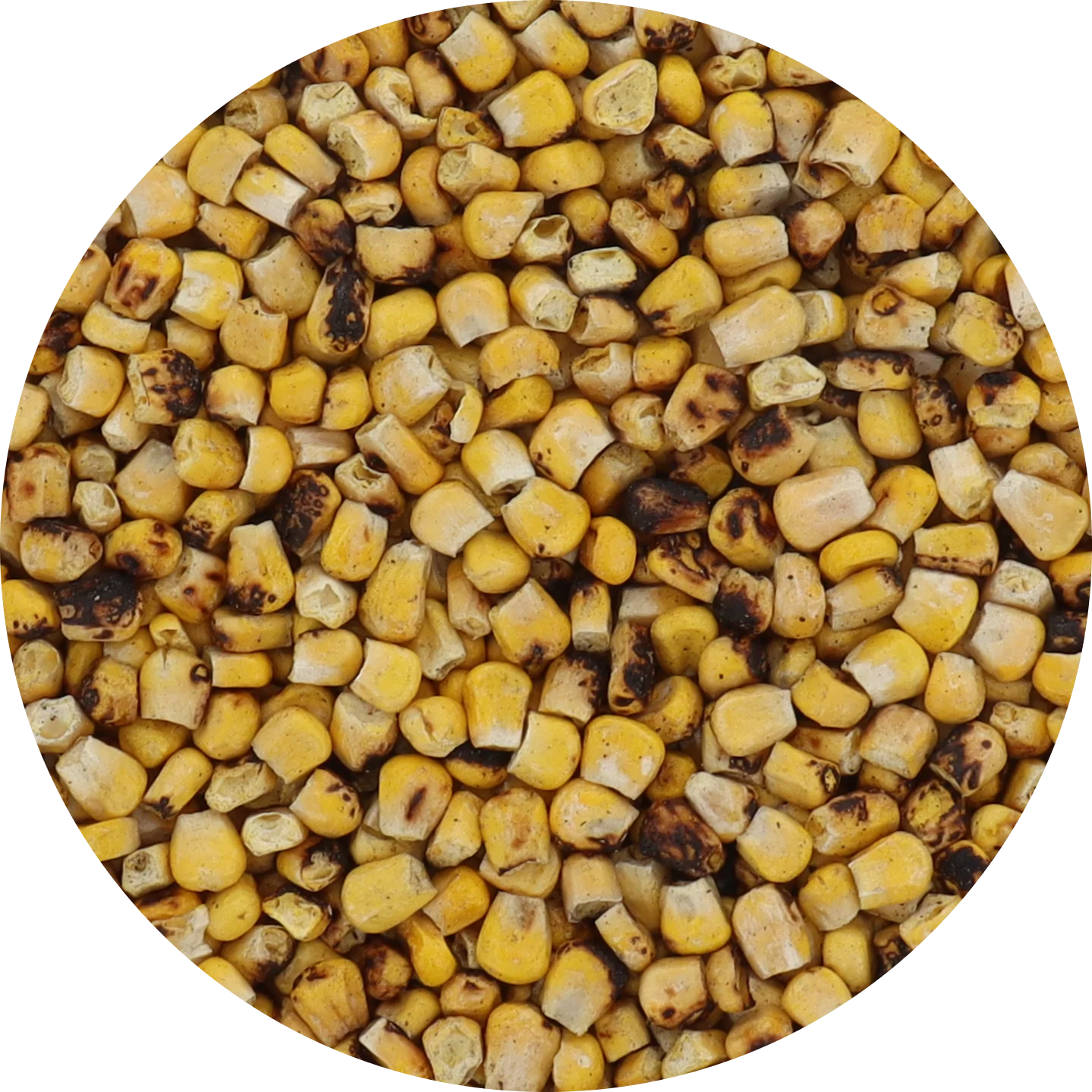 Freeze Dried Corn - Super Sweet - Image 25