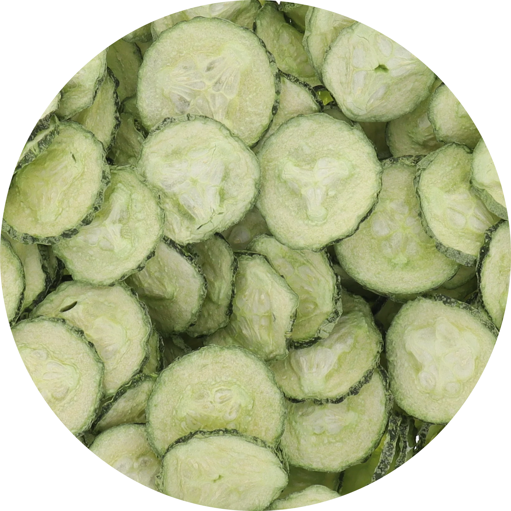 Freeze Dried Cucumber Chips - Image 3
