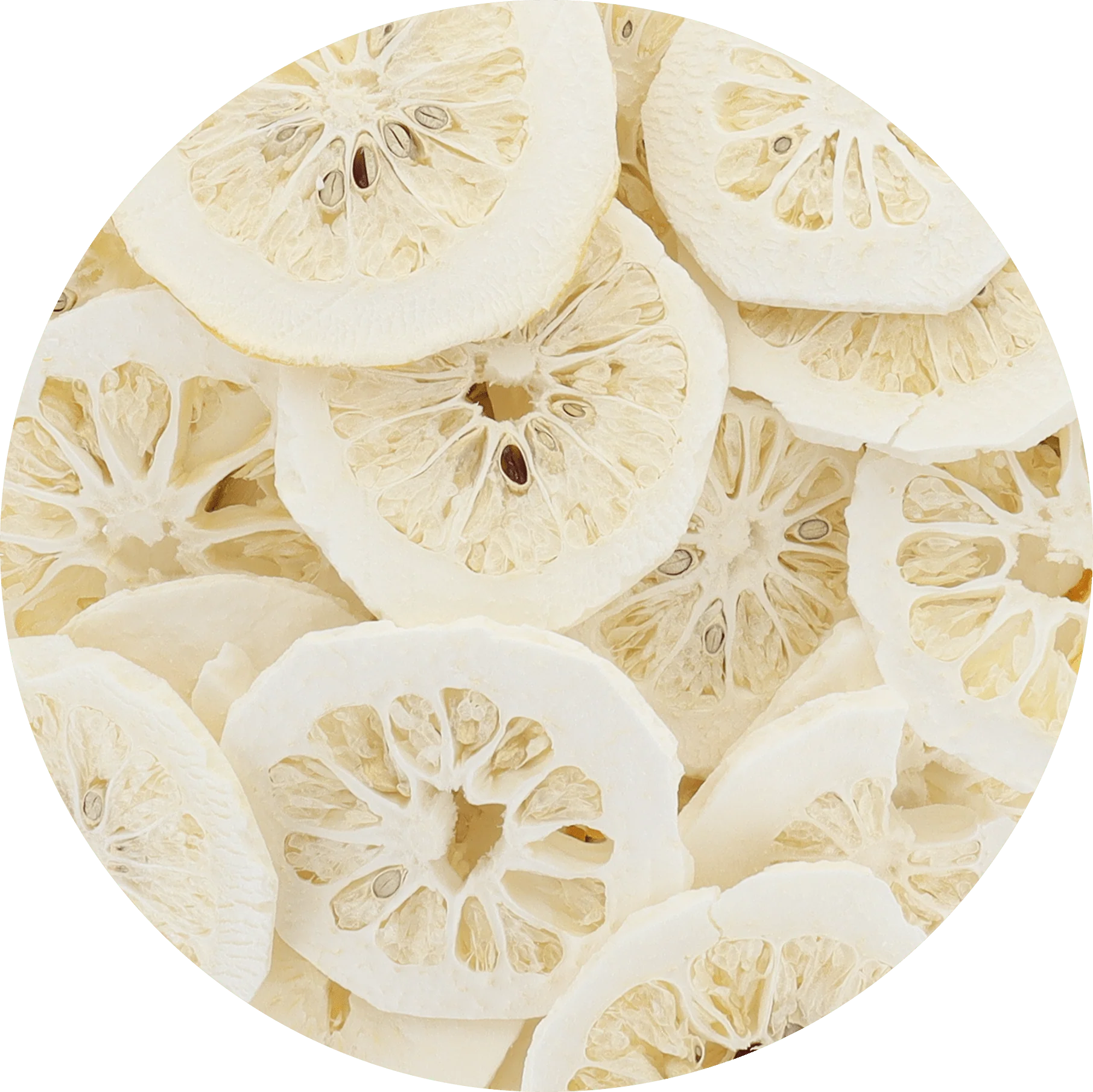 Freeze Dried Etrog Slices - Image 6