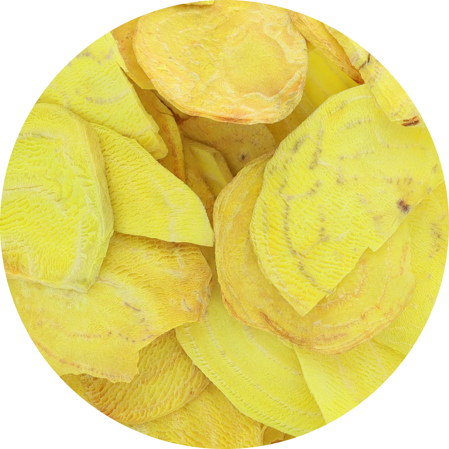 Freeze Dried Golden Beet Chips - Image 4