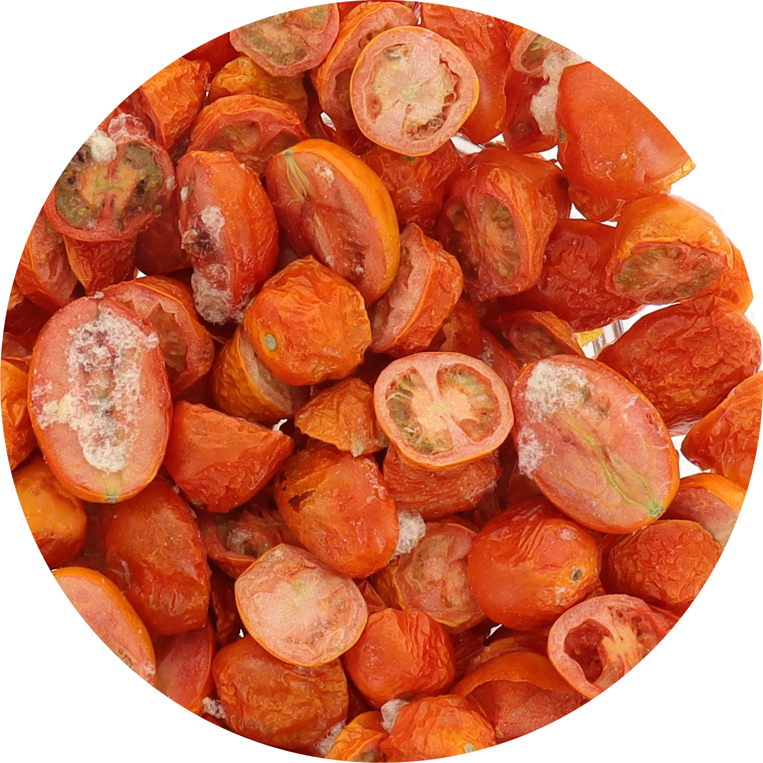 Freeze Dried Grape Tomatoes - Image 5