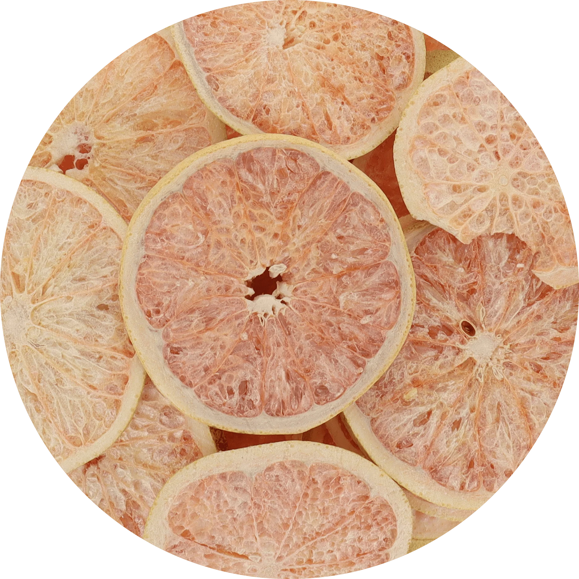Freeze Dried Grapefruit Slices - Image 6
