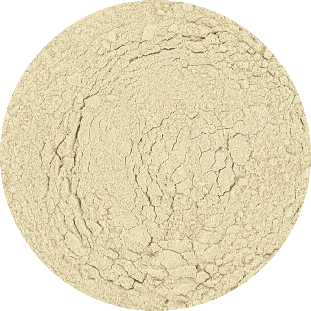 Freeze Dried Green Kiwi Powder - Image 2