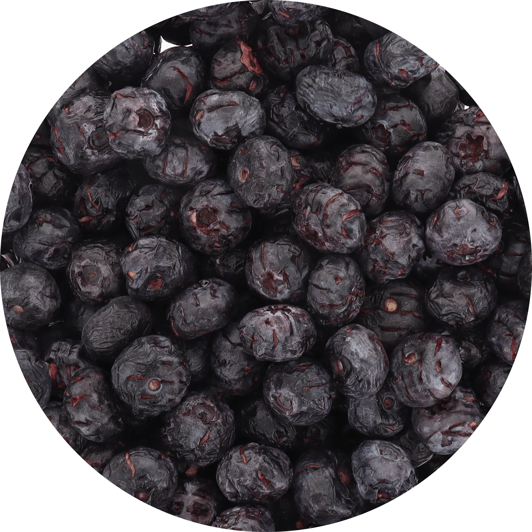 Freeze Dried JUMBO Blueberries - Image 2