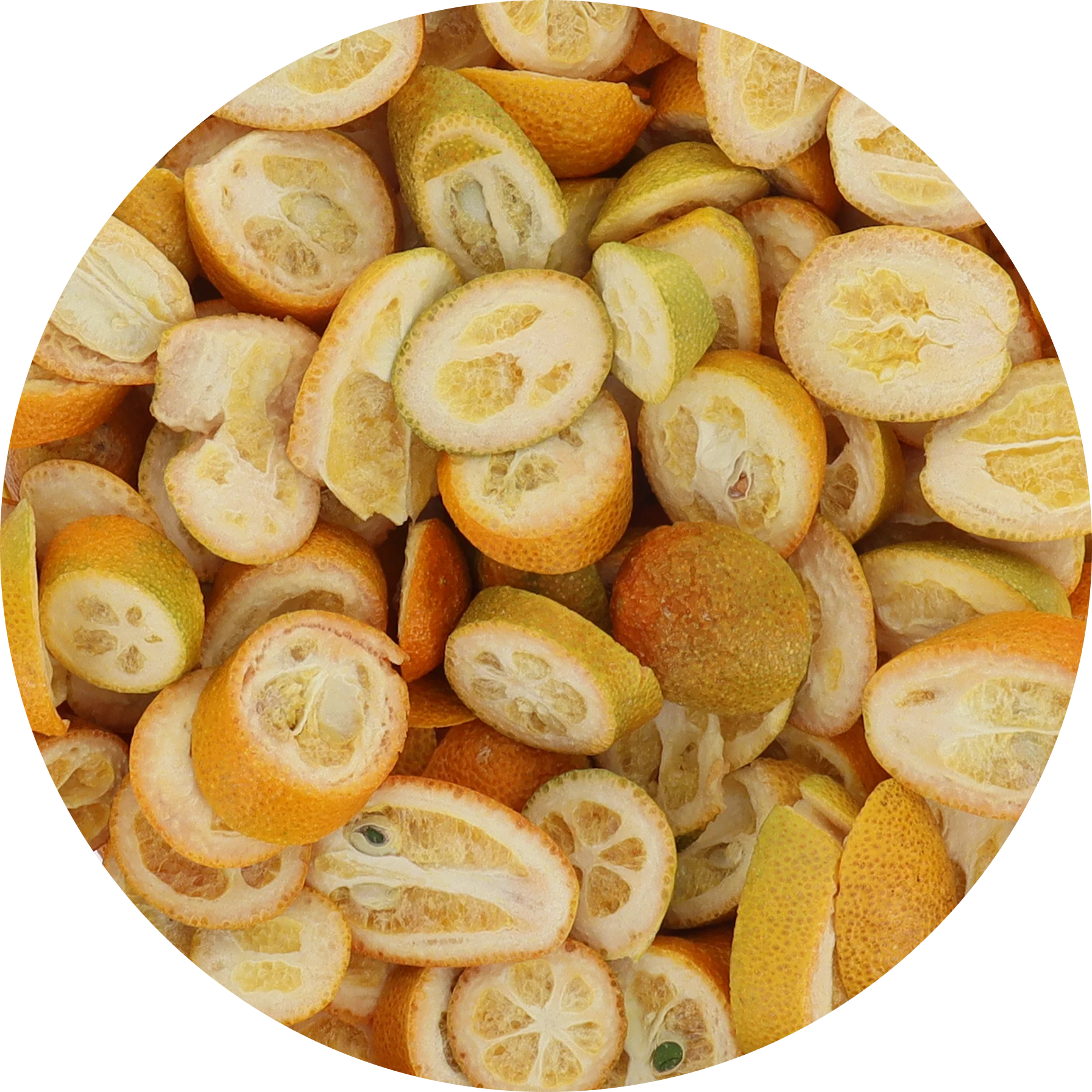 Freeze Dried Kumquat - Image 6