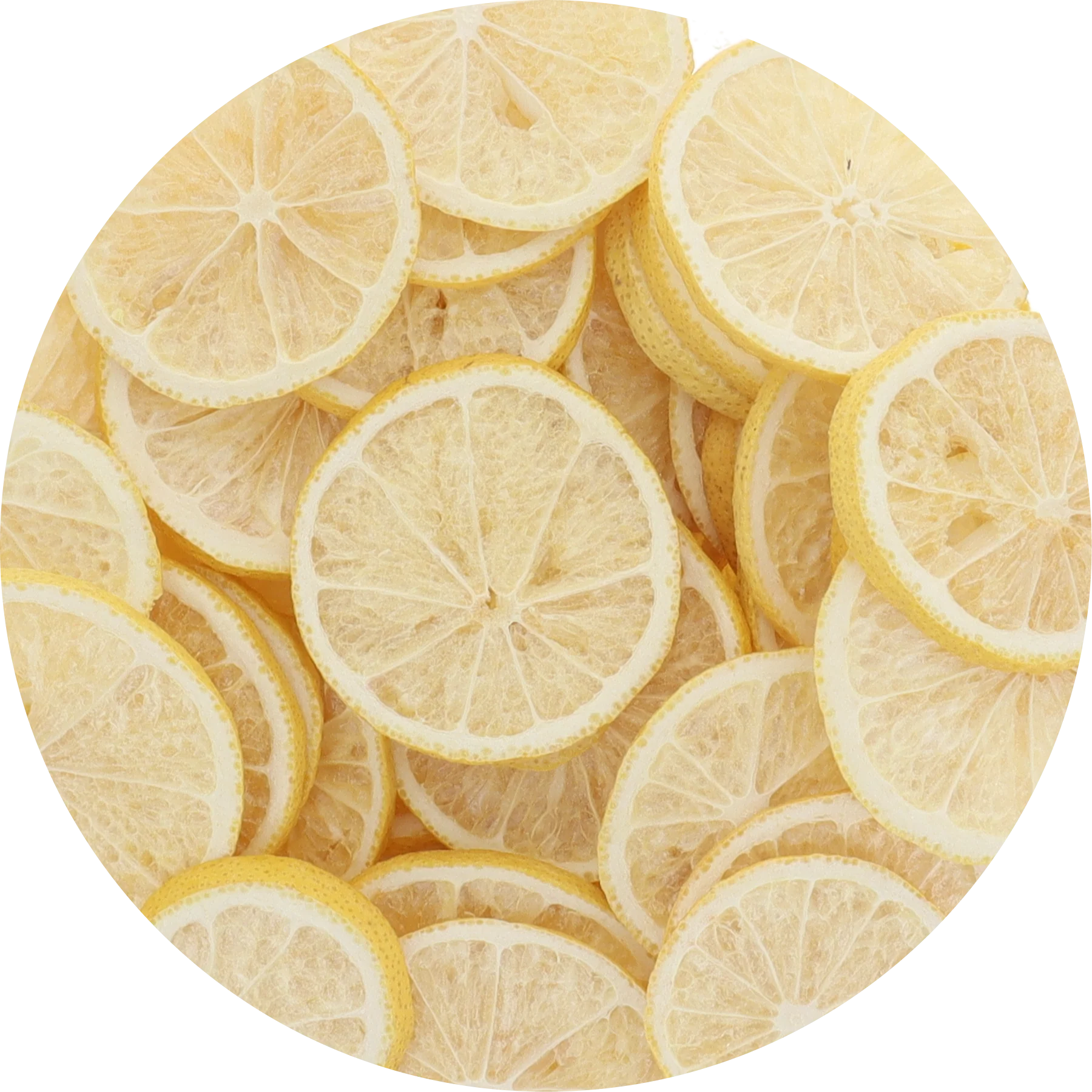 Freeze Dried Lemon Slices - Image 8