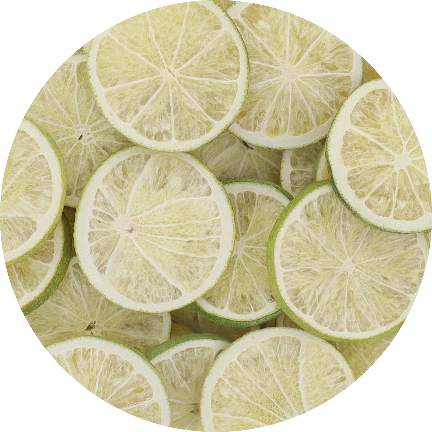 Freeze Dried Lime Slices - Image 7
