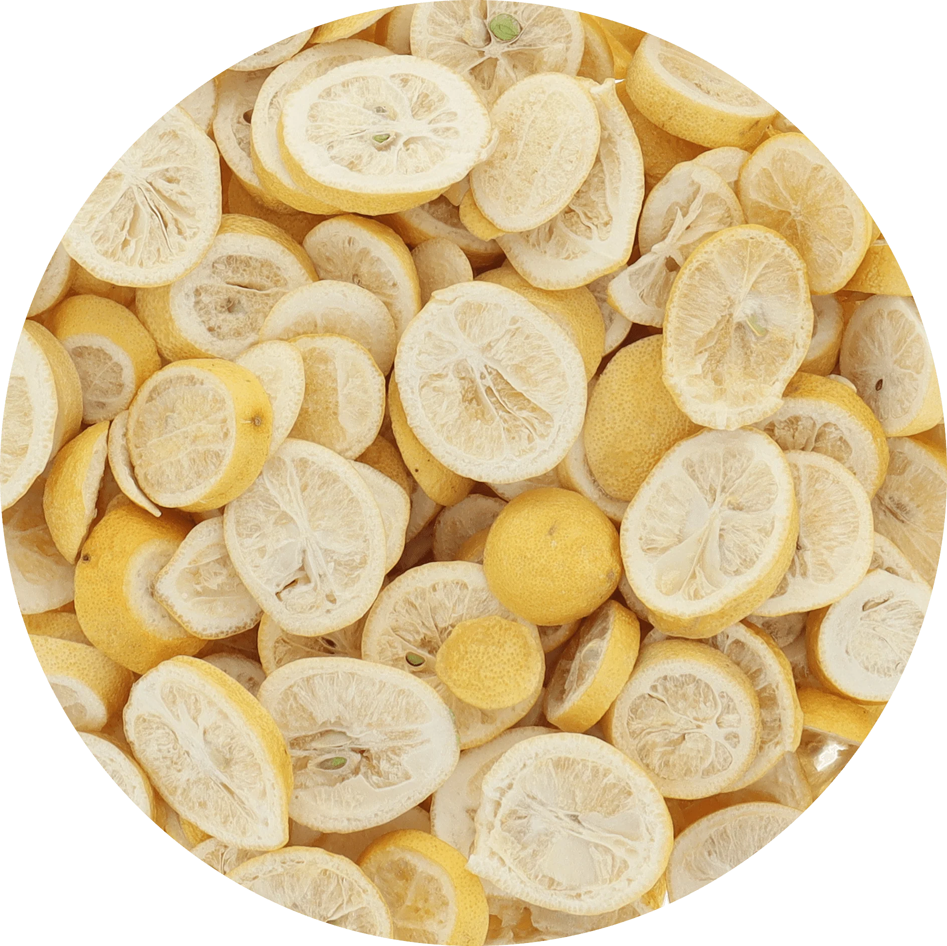Freeze Dried Limequats - Image 6
