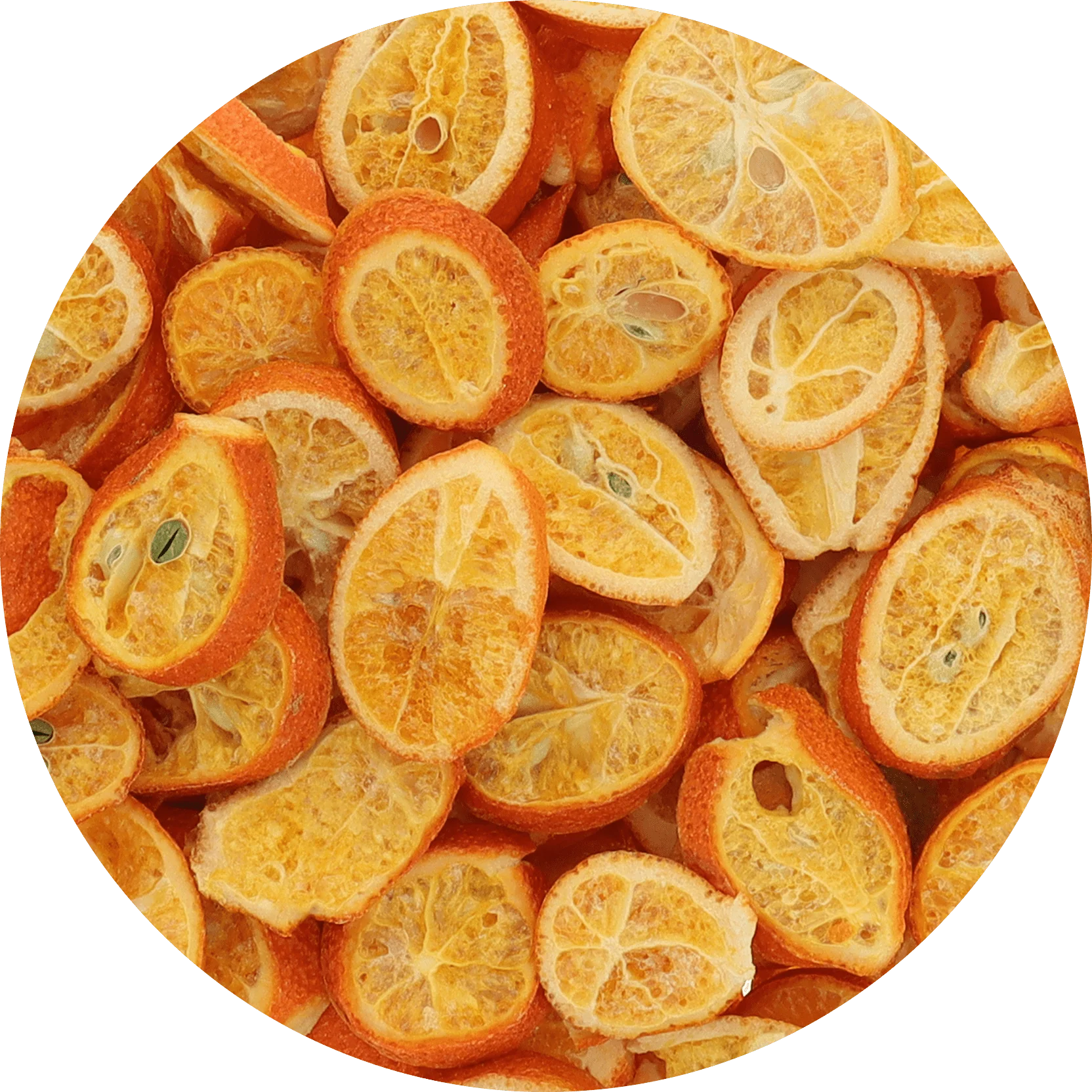 Freeze Dried Mandarinquats - Image 6