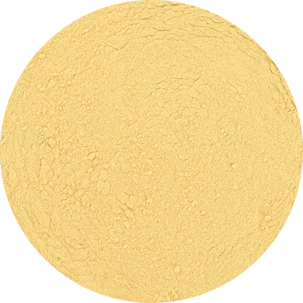 Freeze Dried Mango Powder - Image 2