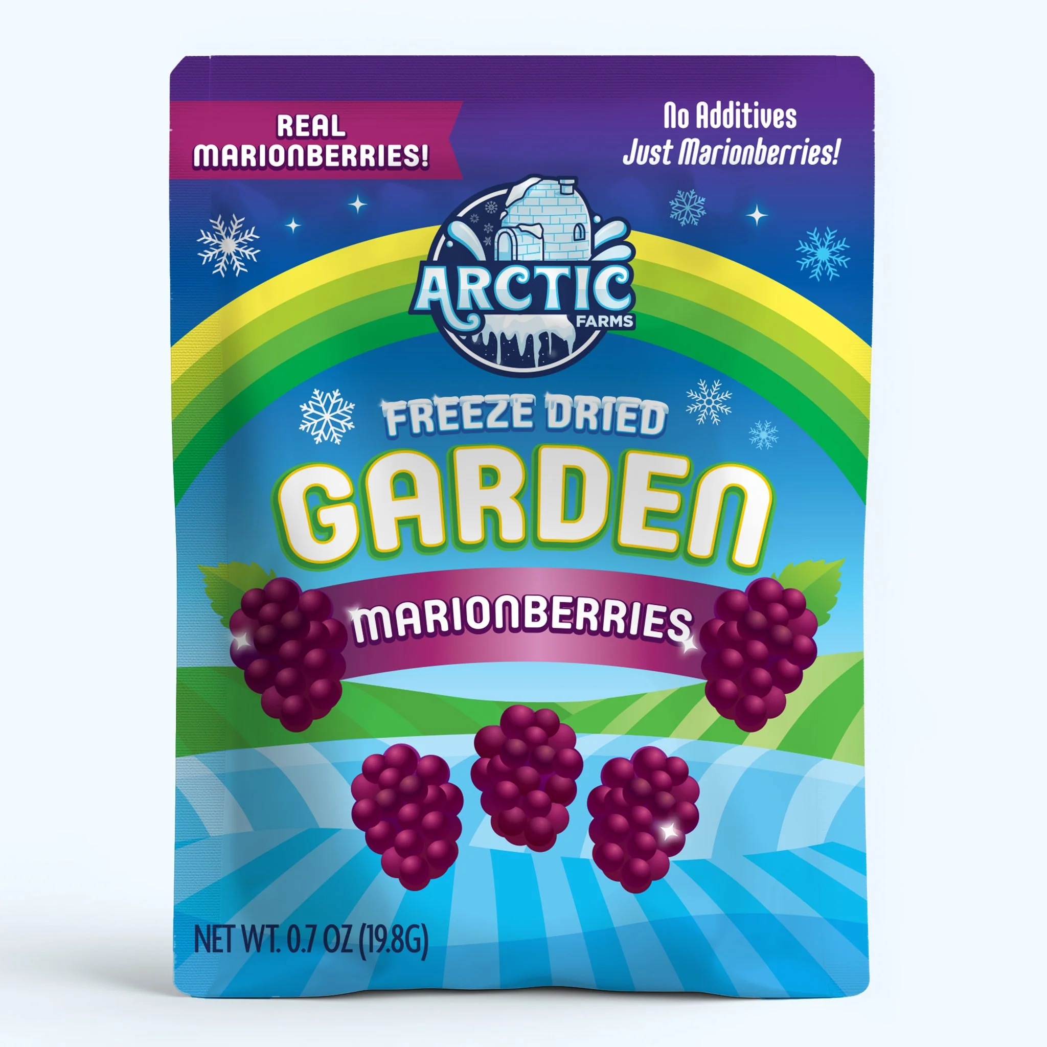 Freeze Dried Marionberries - Image 2