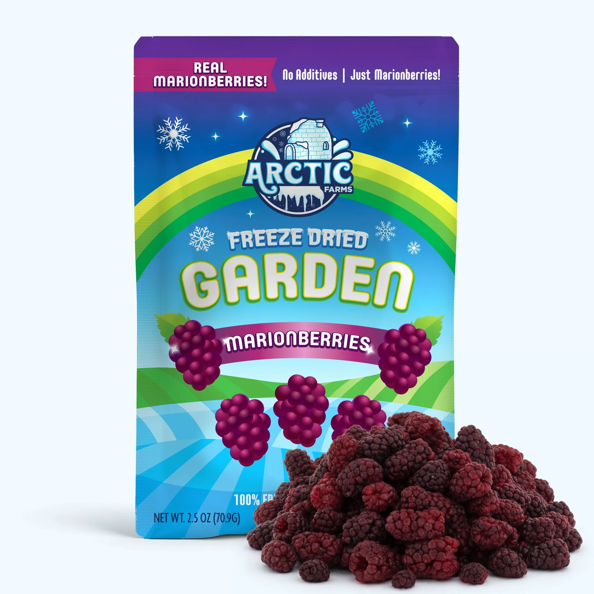 Freeze Dried Marionberries - Image 3