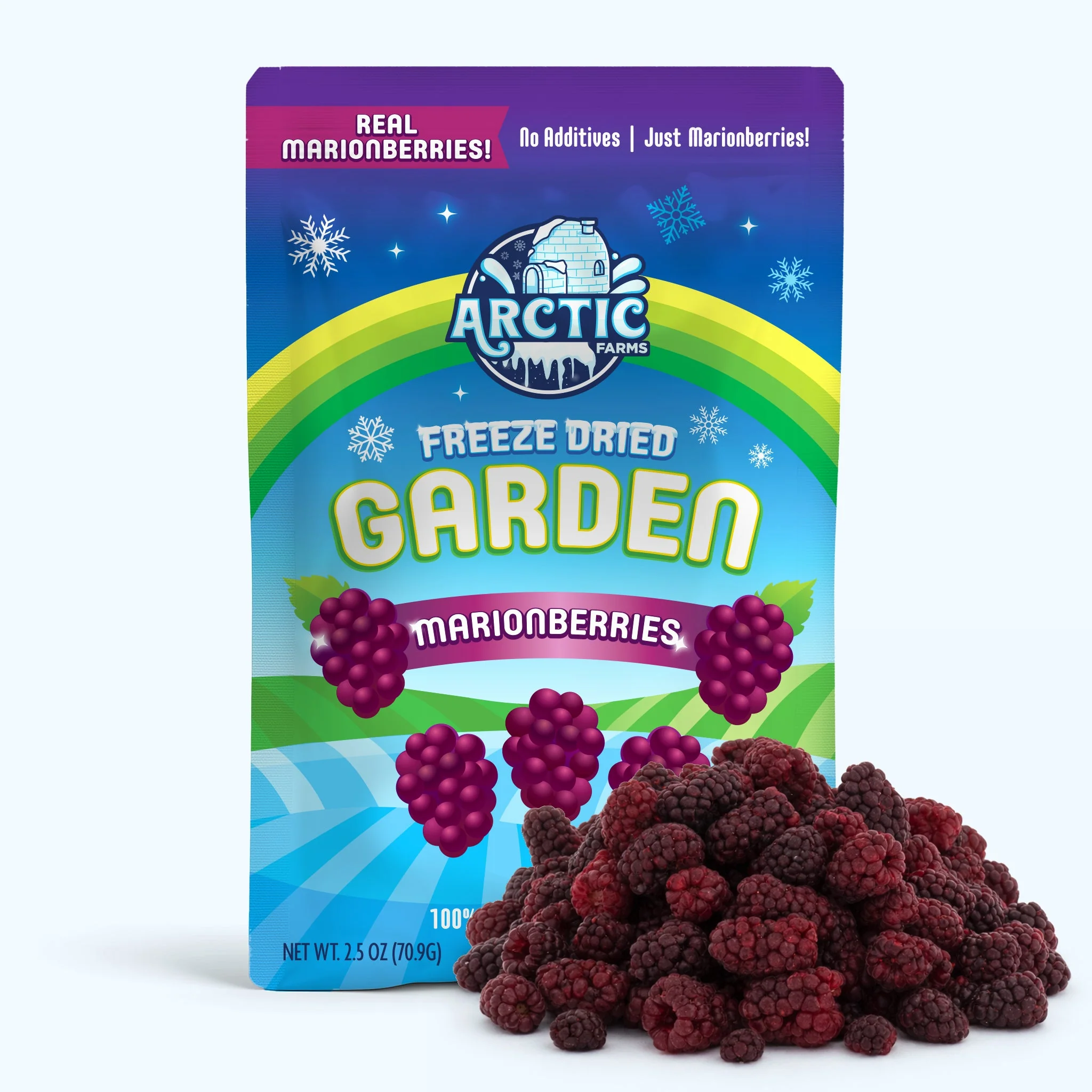Freeze Dried Marionberries - Image 4