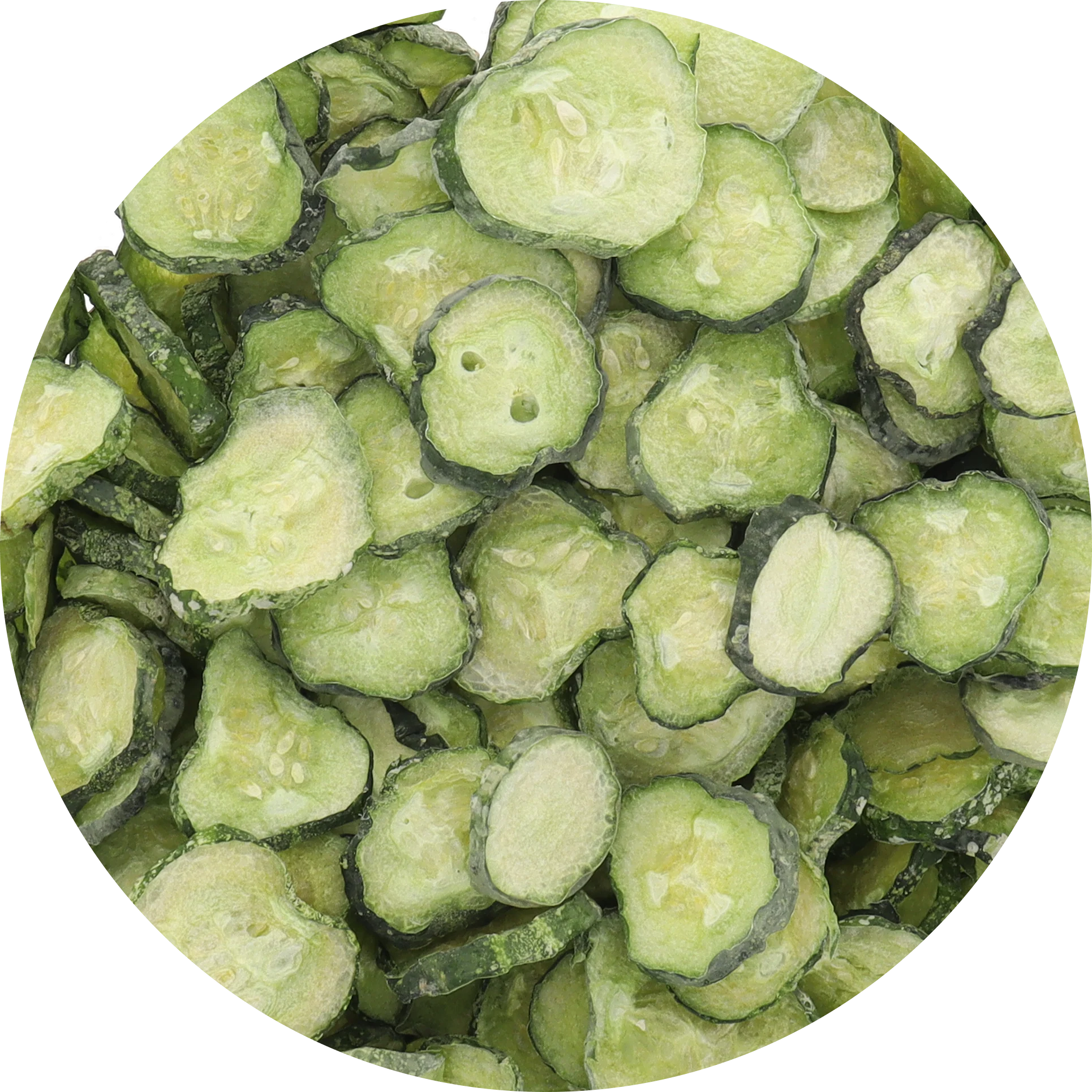 Freeze Dried New Pickle Chips from The Pickle Guys (Minimal Salt) - Image 3