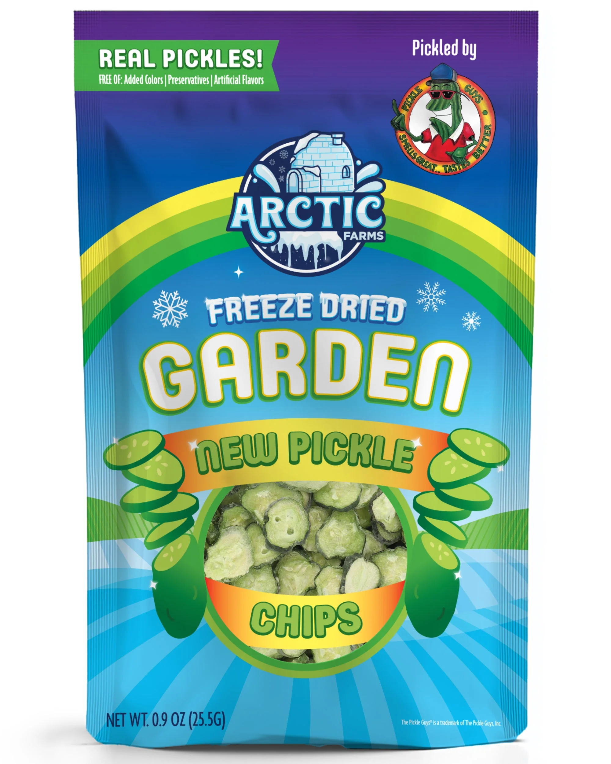 Freeze Dried New Pickle Chips from The Pickle Guys (Minimal Salt) - Image 6