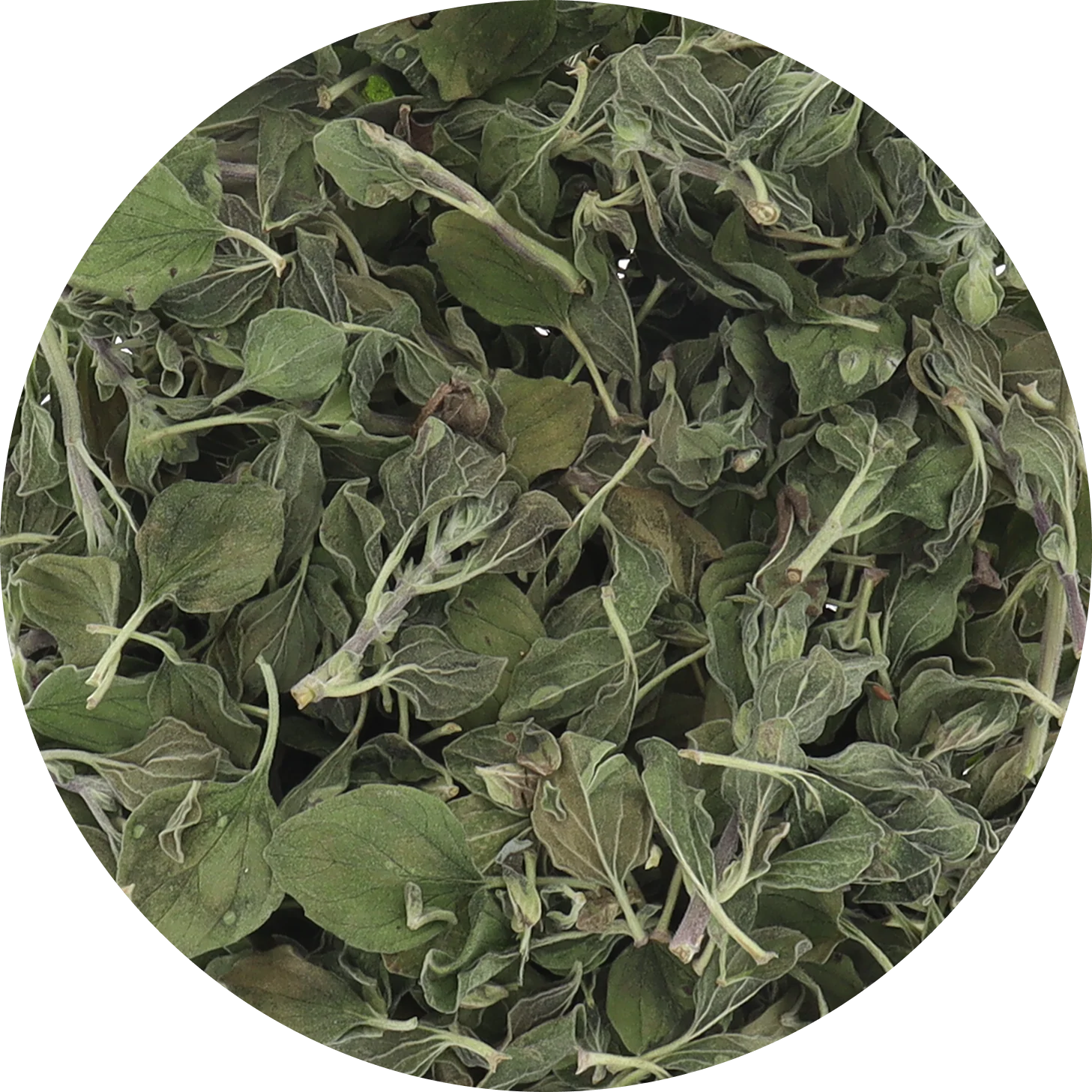Freeze Dried Oregano