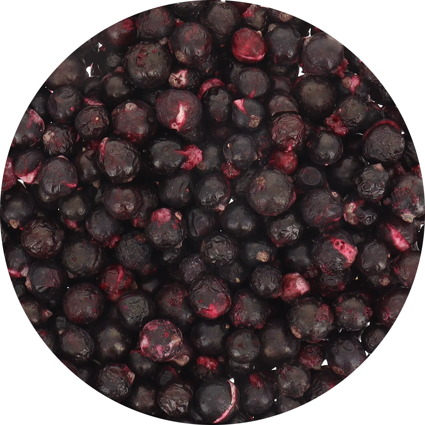 Freeze Dried Organic Black Currant - Image 5